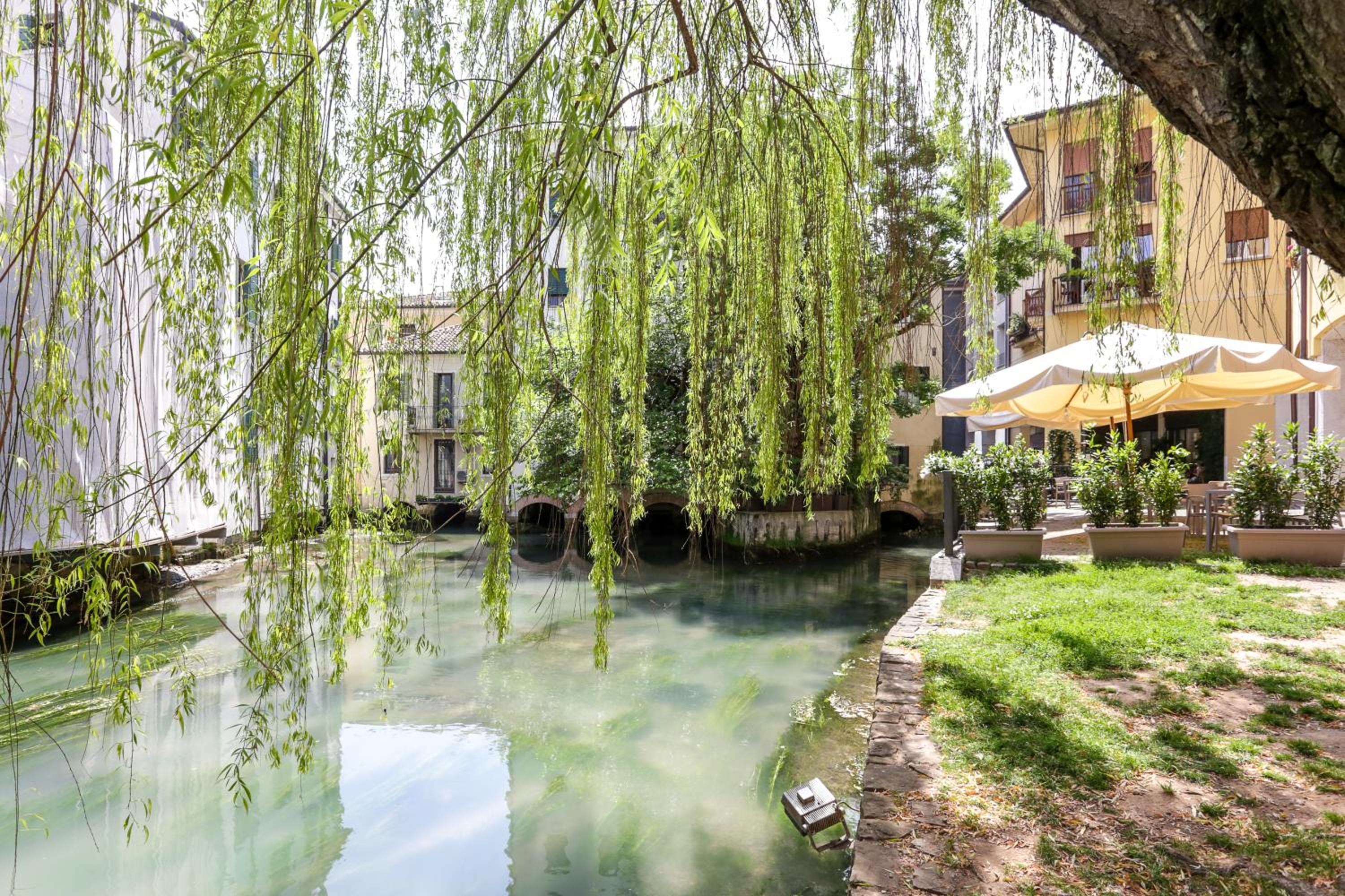 Treviso City Town 3 view 2