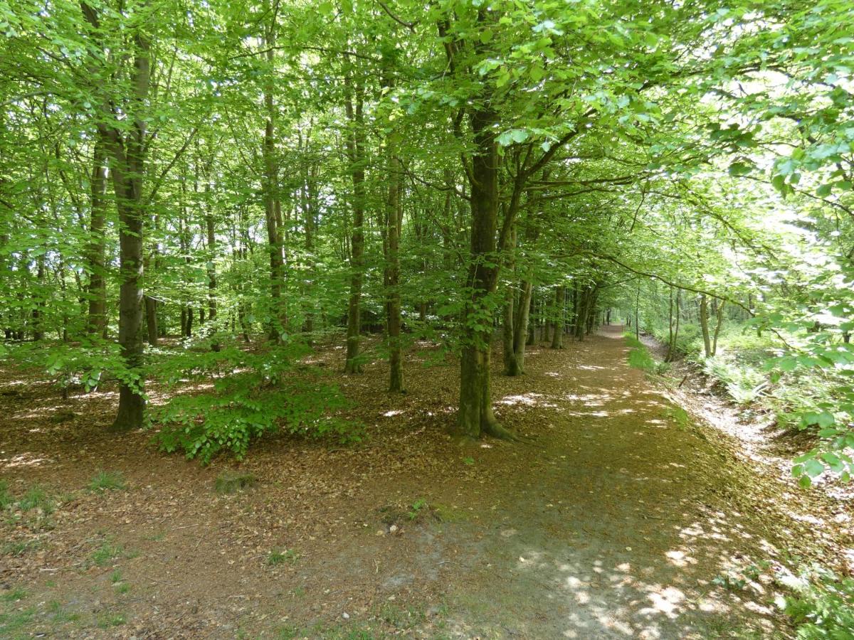 Photo 42