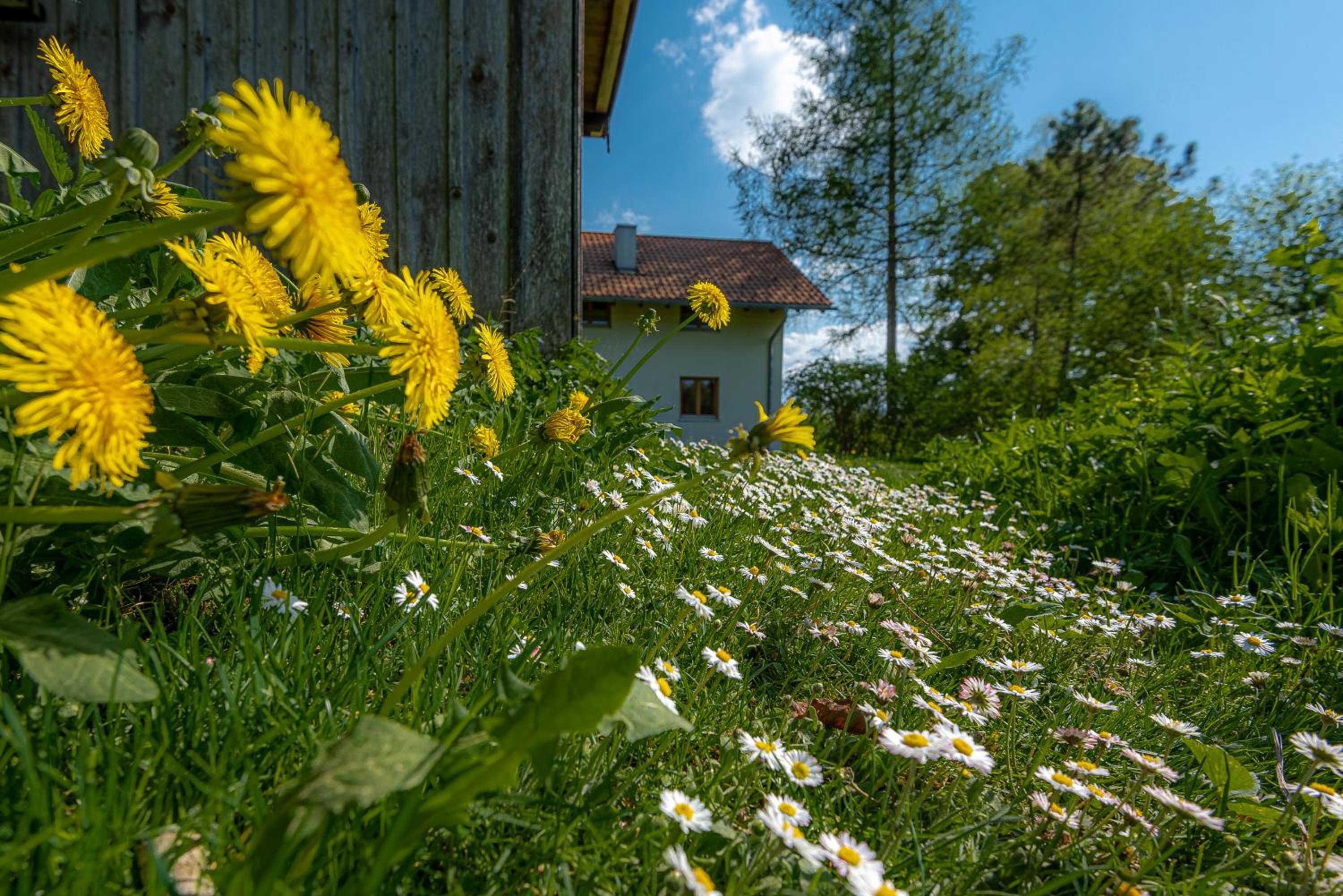Ferienhaus Schlierachtal