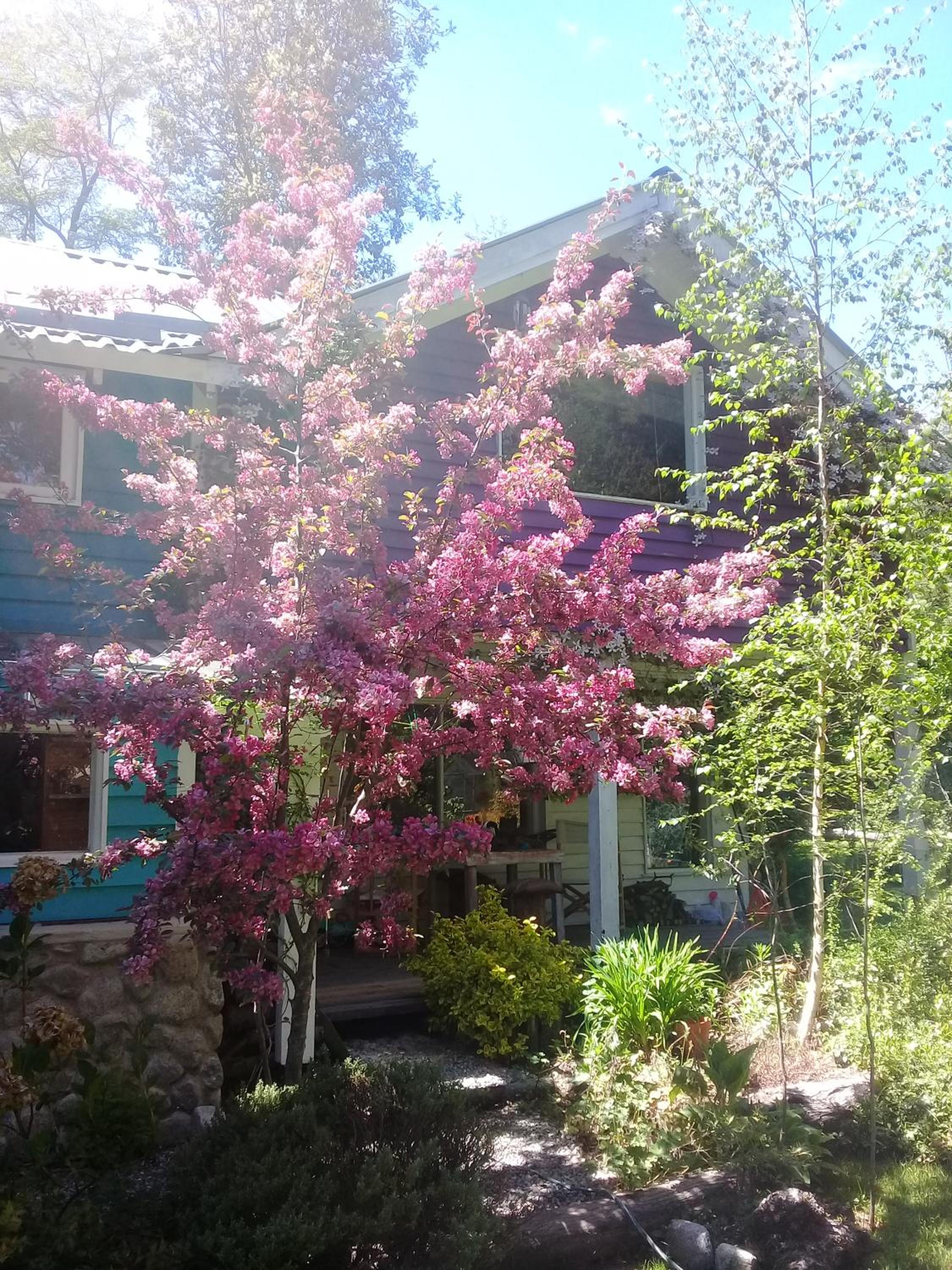 Dodo House Bed & Breakfast