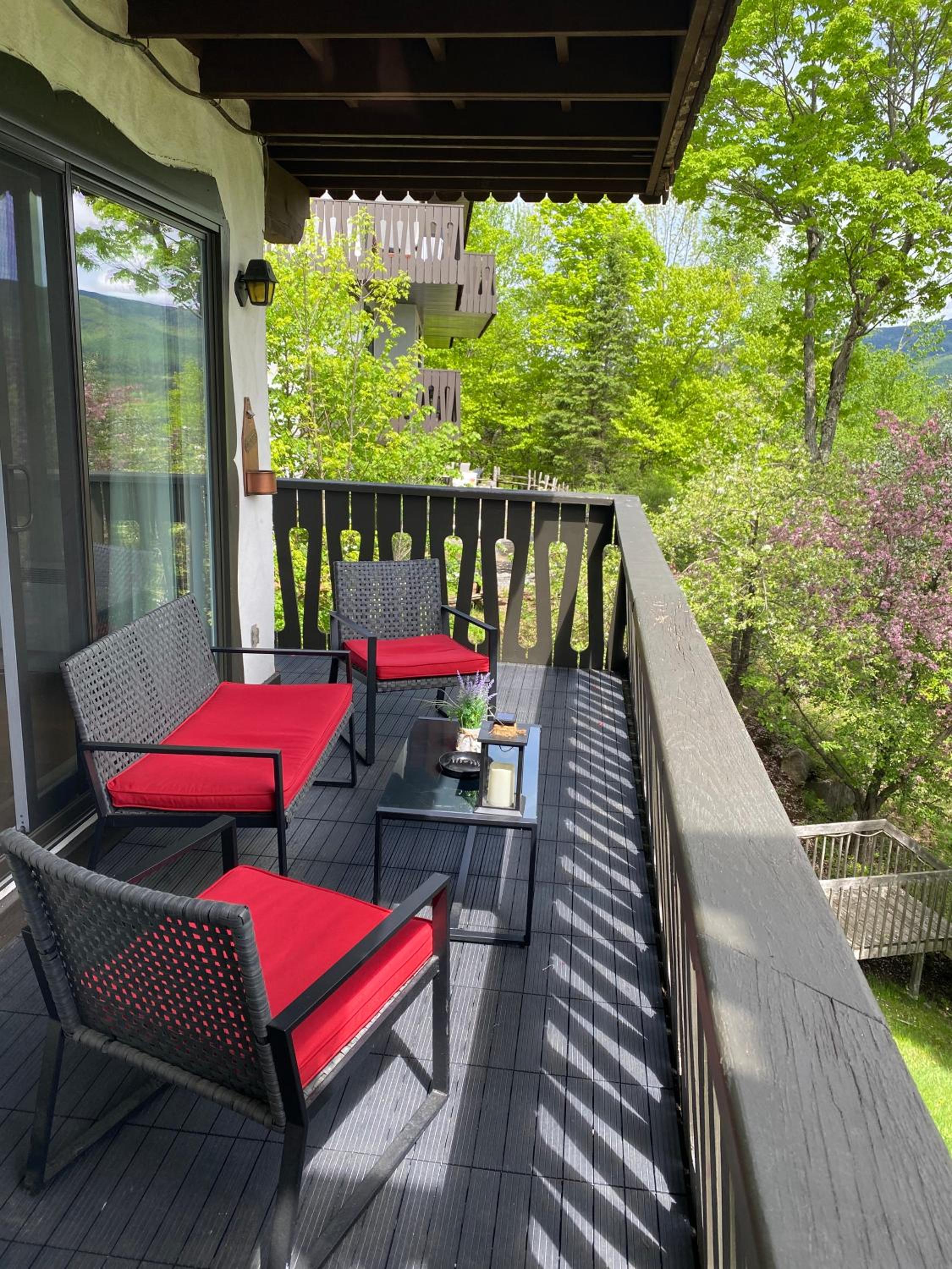 Mountain view fully renovated 6-8 people condo