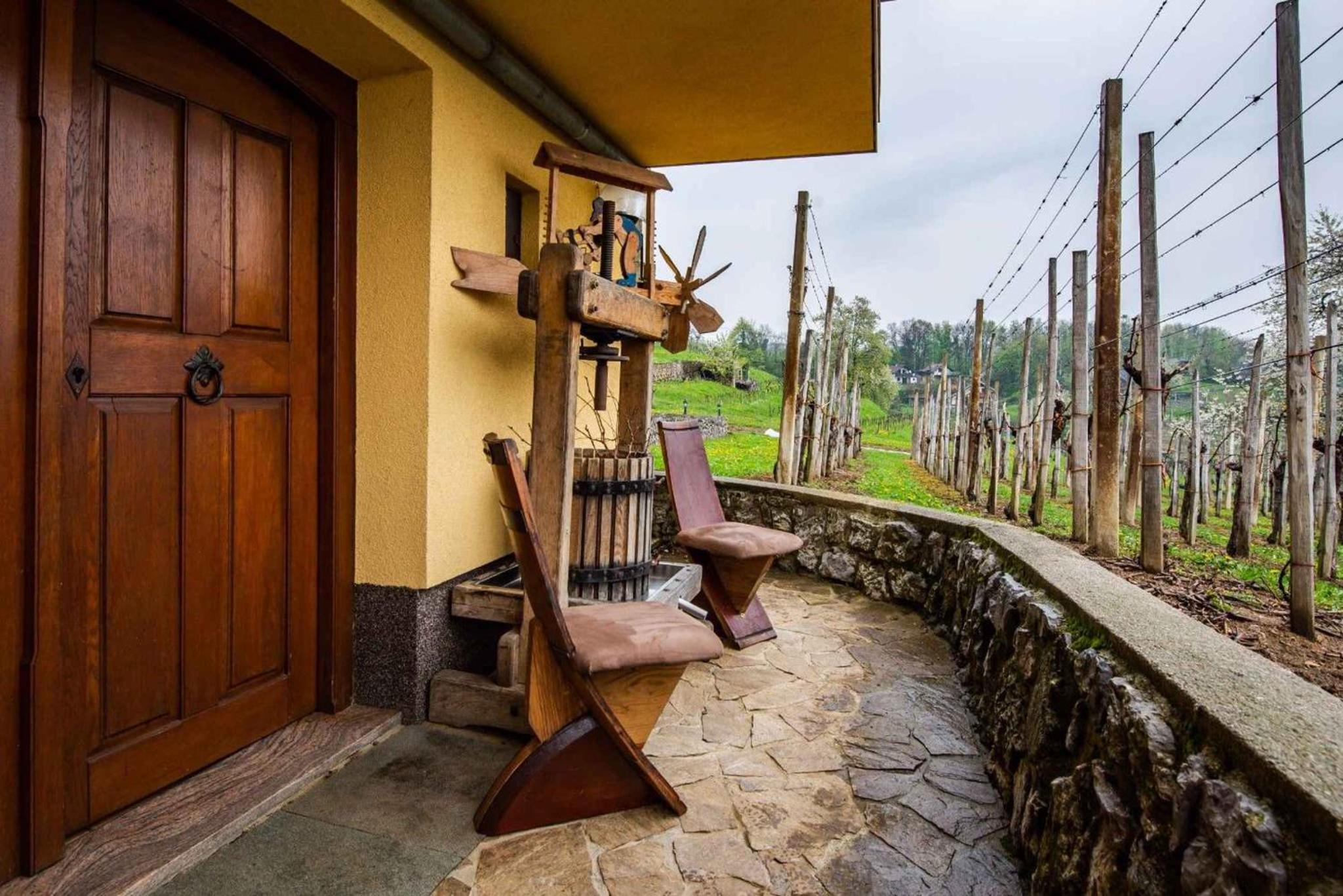 Holiday home in Novo Mesto - Dolenjska Bela krajina Unter- Weißkrain 42895 view 2