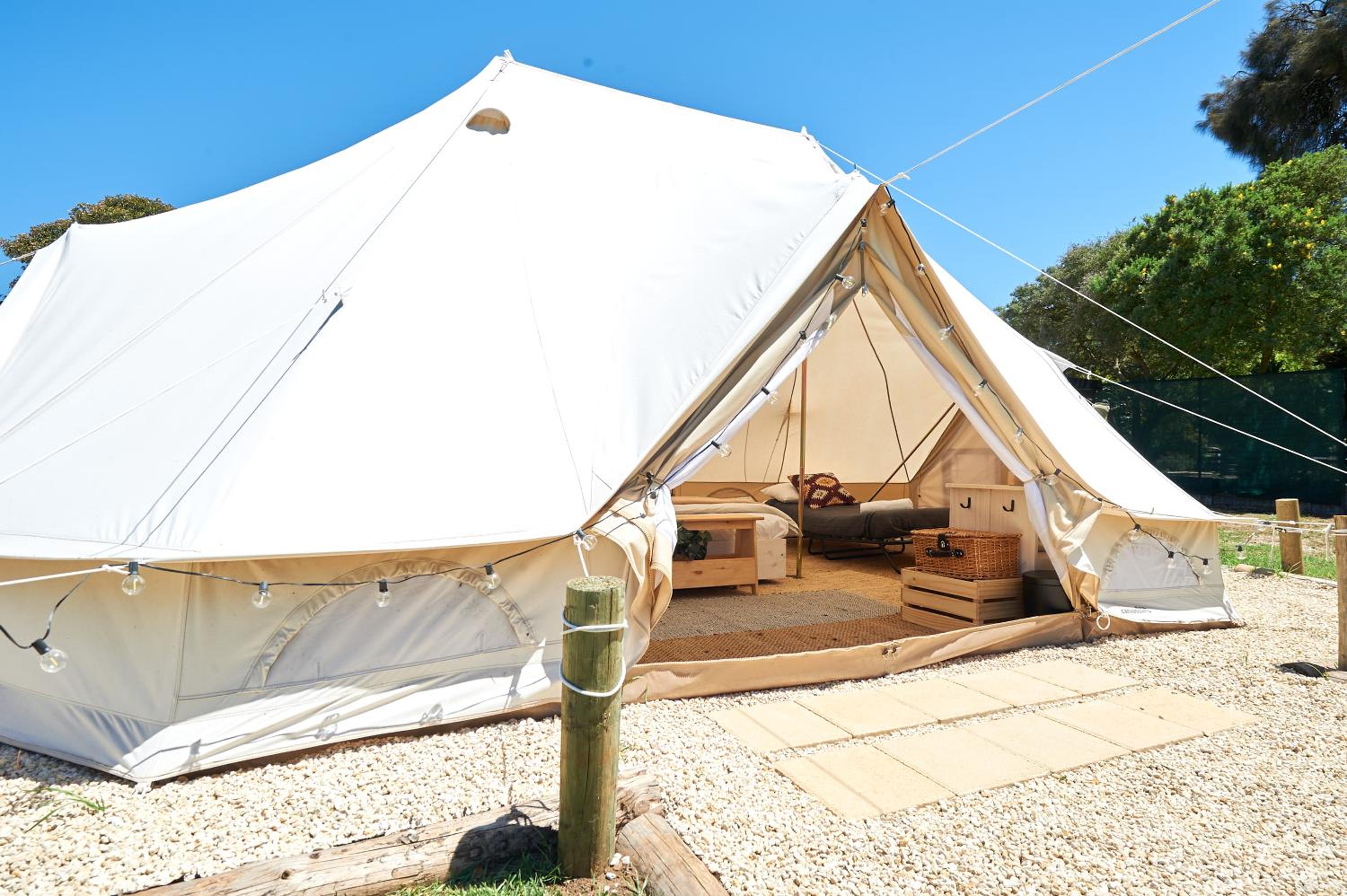 Pine Country Caravan Park view 4