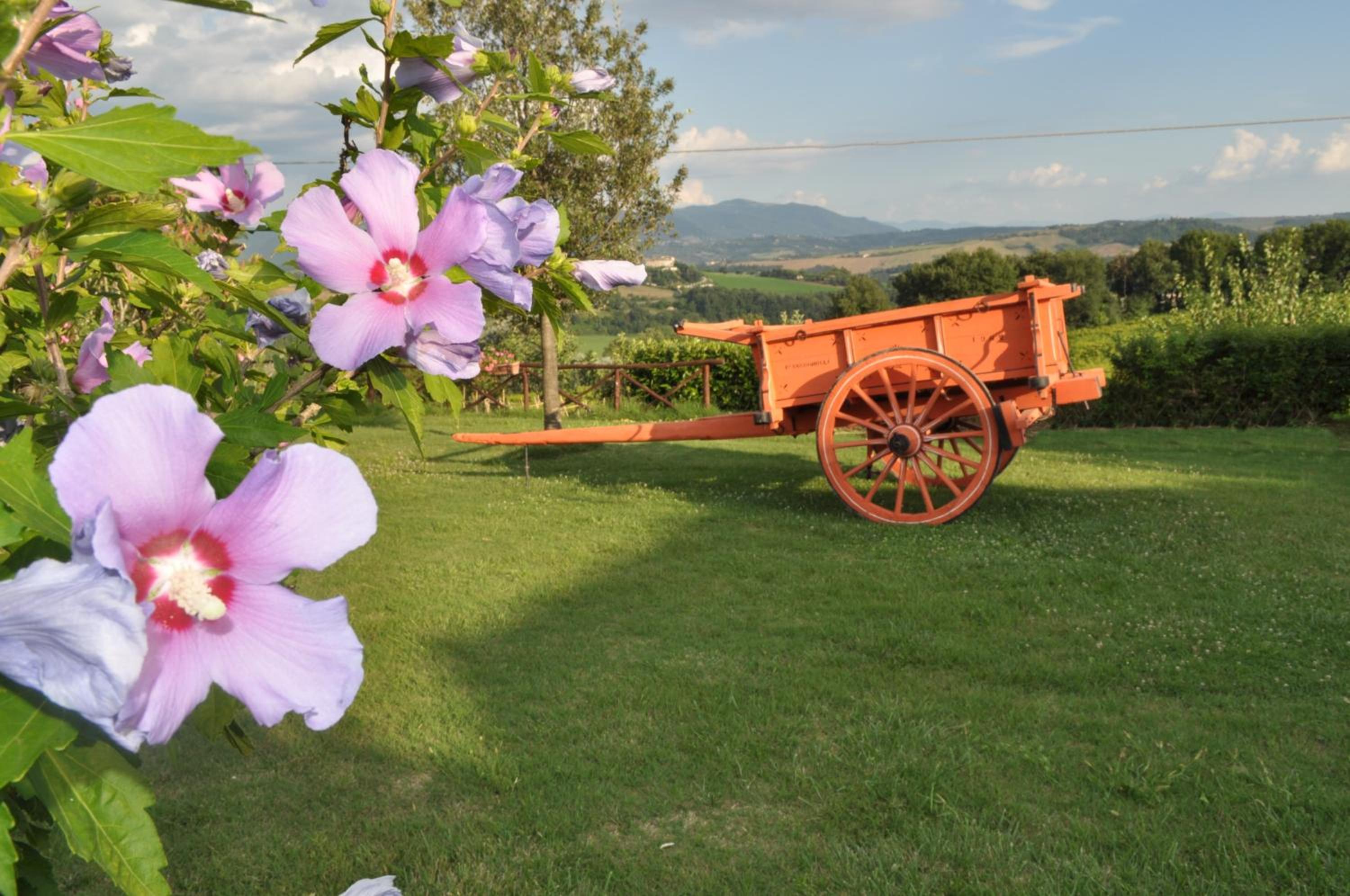 Farm stay Il Carro del Colle