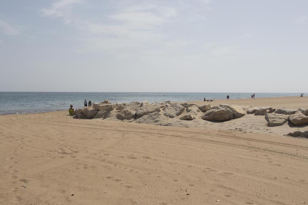 Don Pedro by Aguilarent view 5
