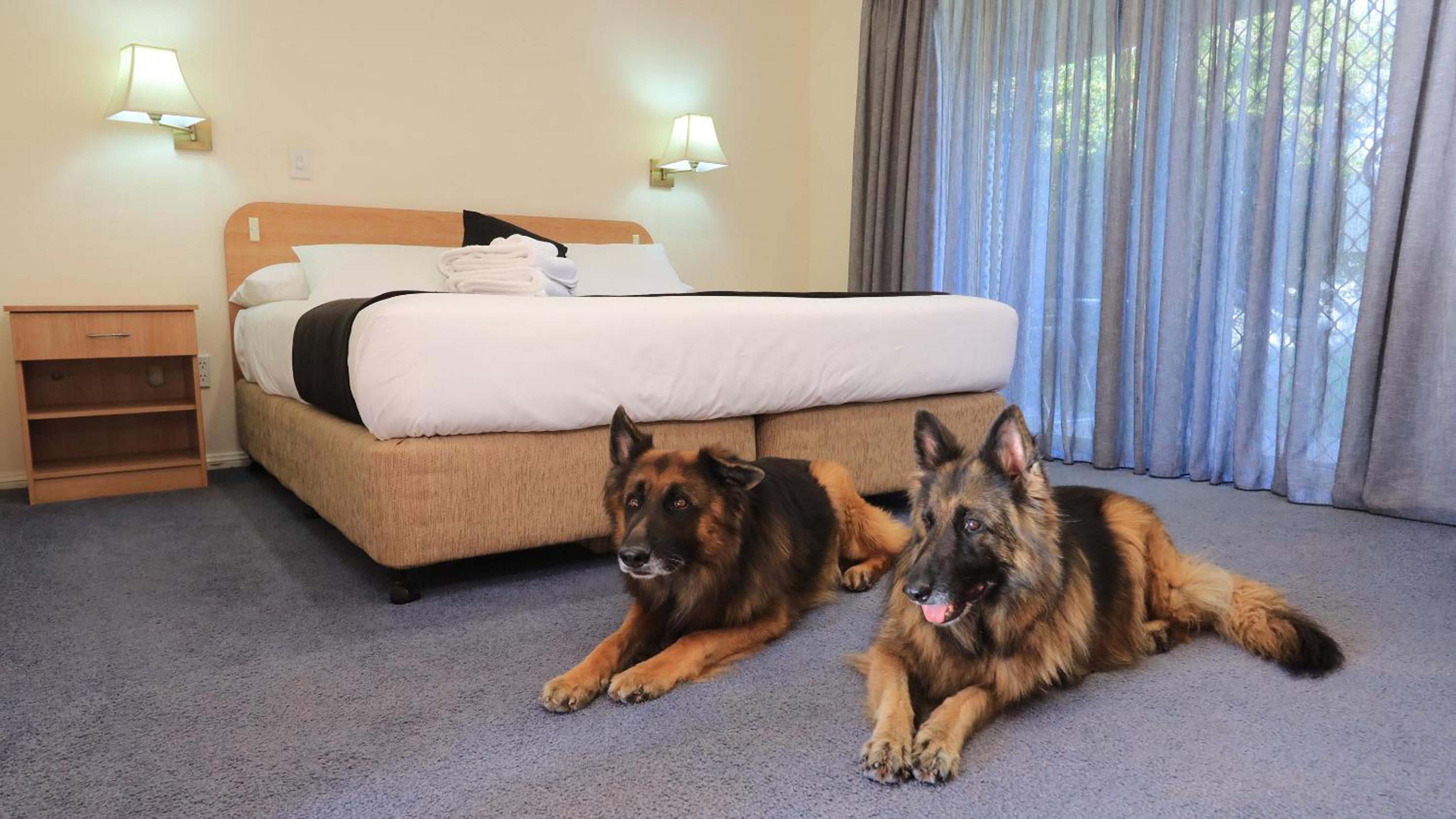 Bushman's Motor Inn