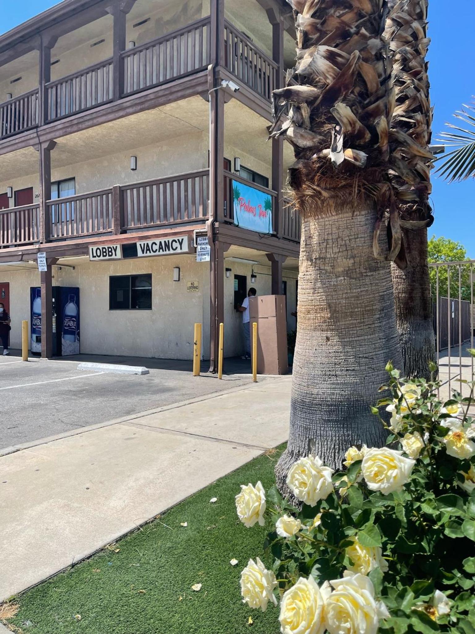 Palms Inn & Suites