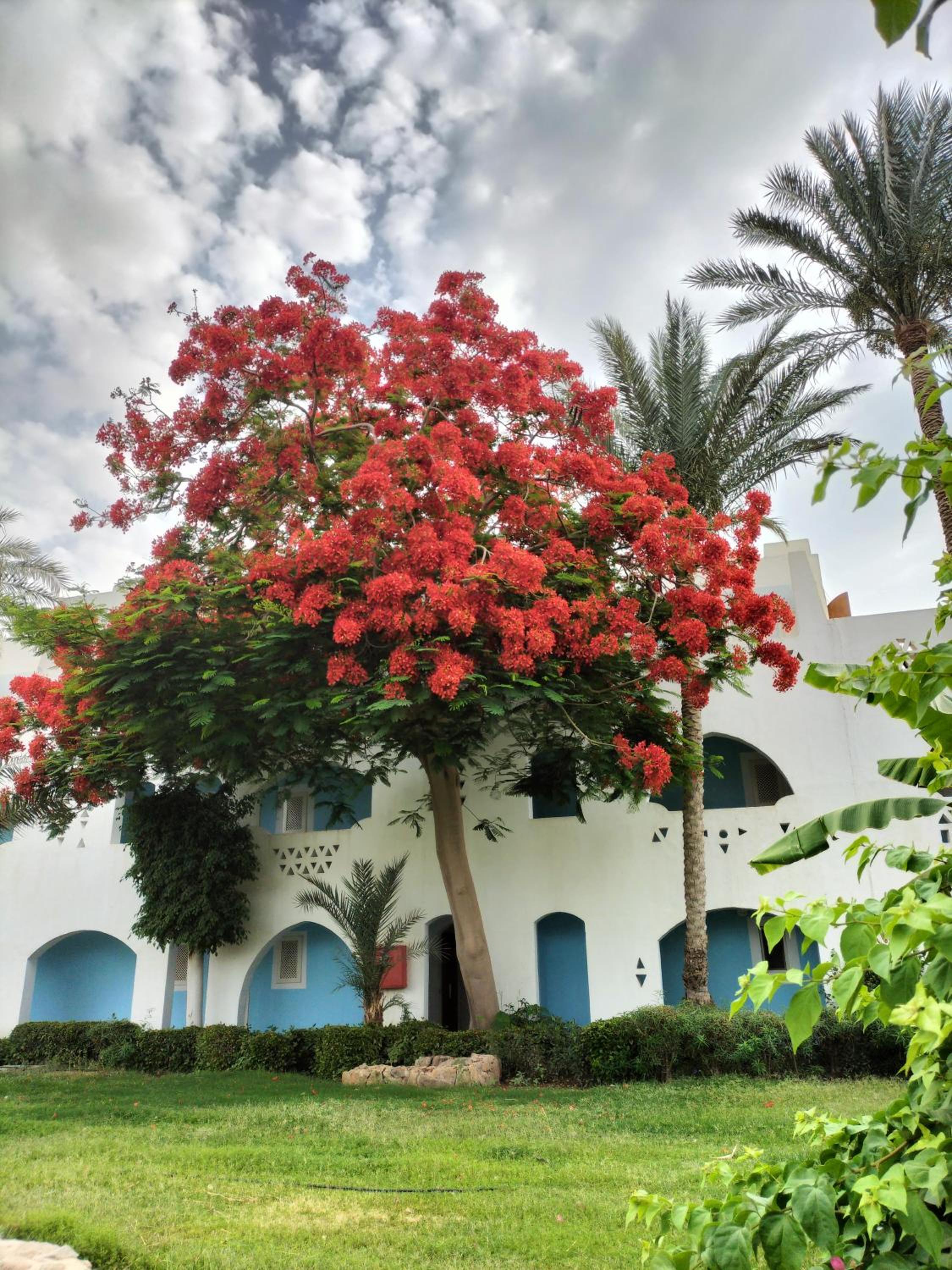 Hotel Roby Acqua Marine Coral Bay