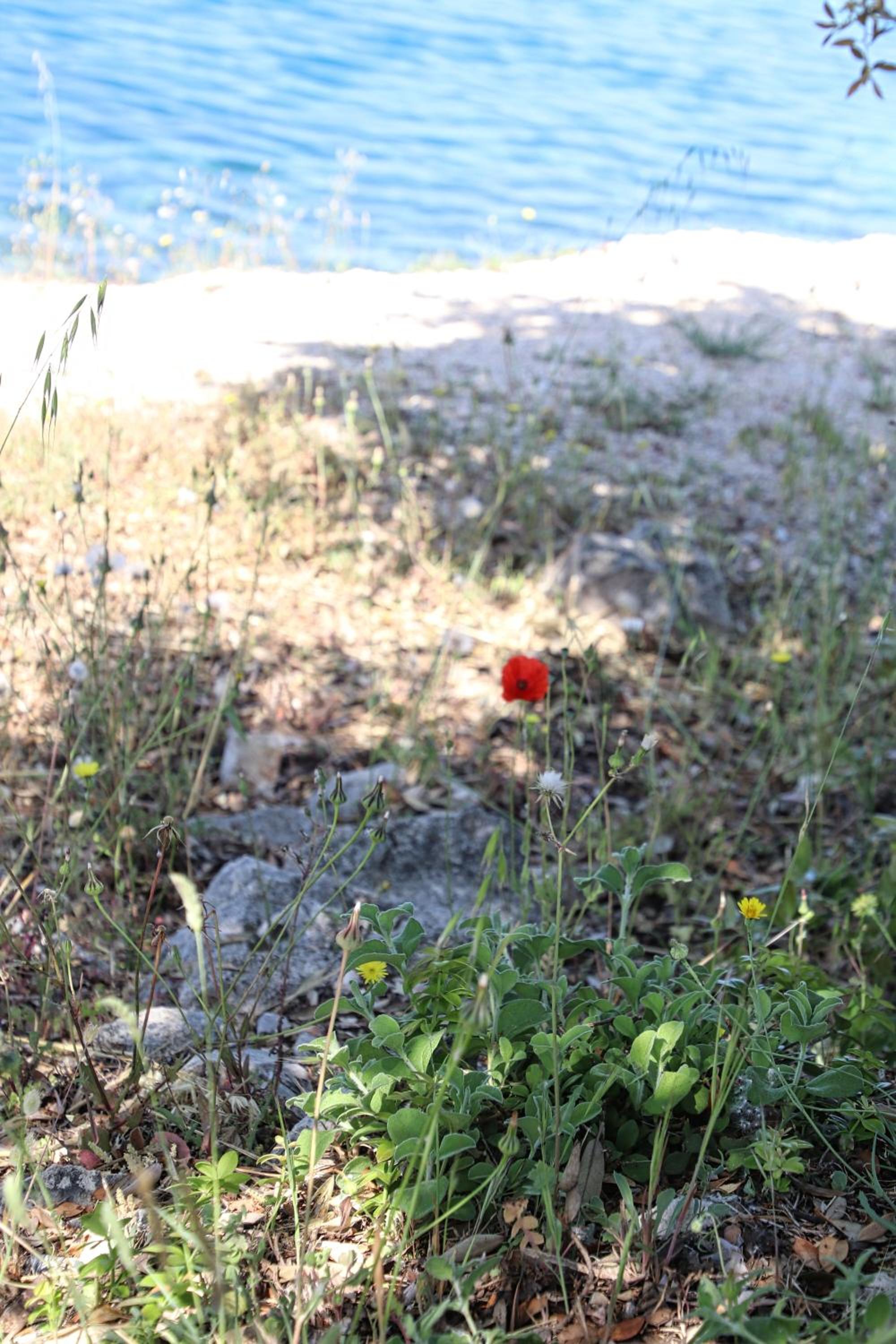 Photo 45