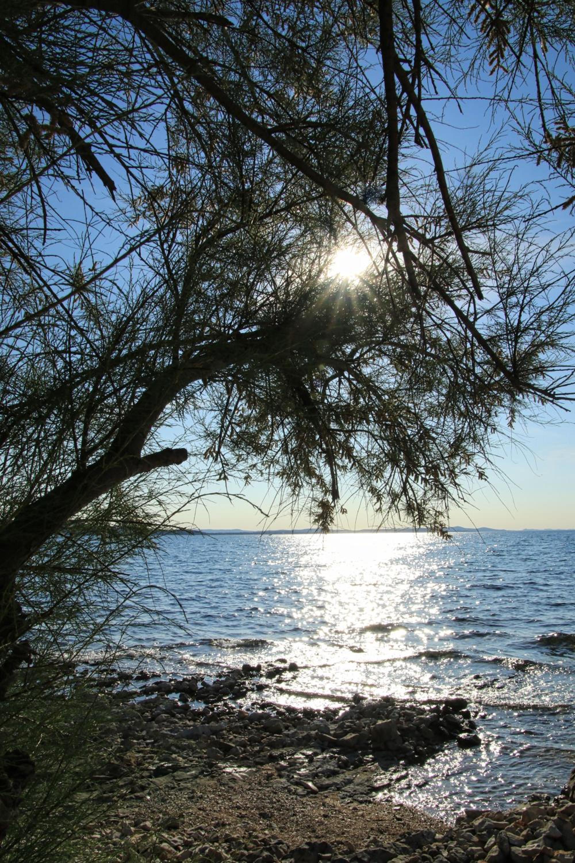 Photo 49