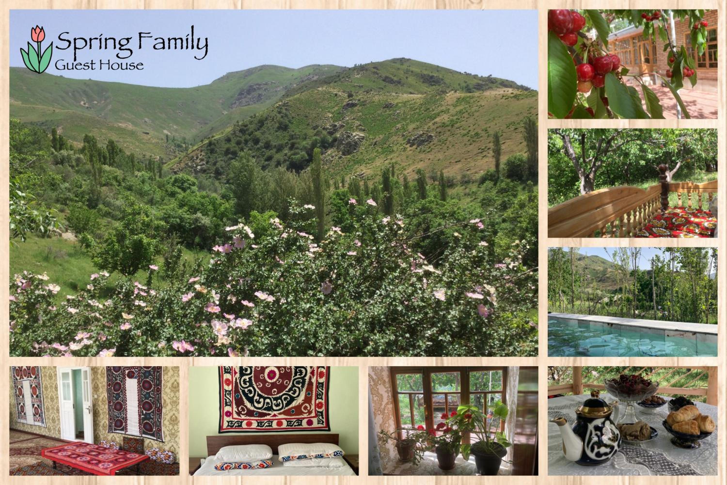 Spring Family Guest House view 2