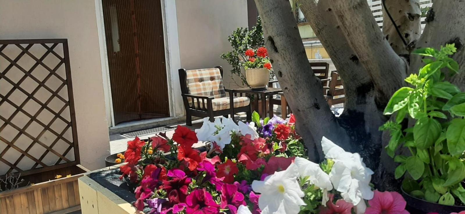 Holiday House NELLINA photo 5