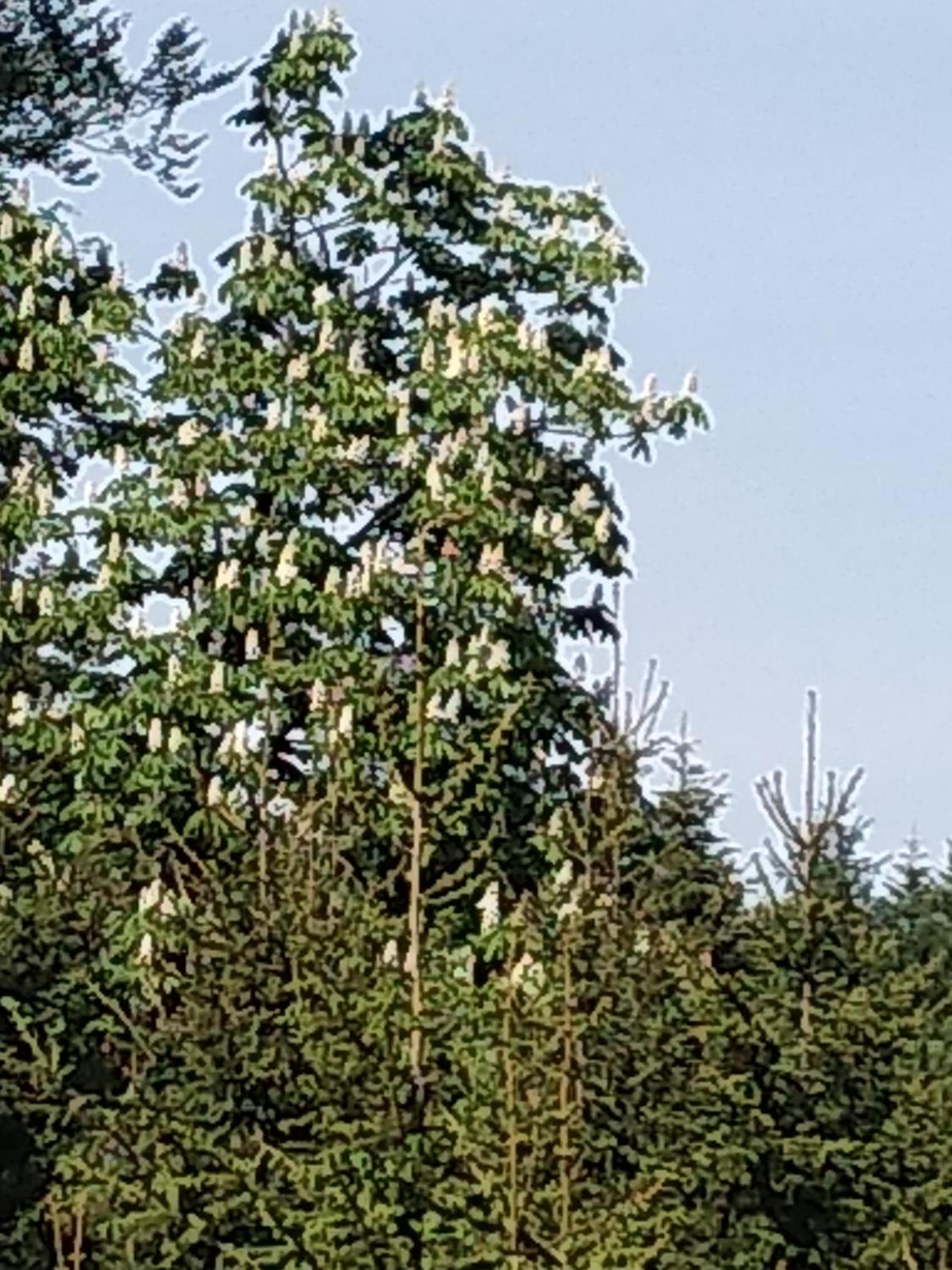 Kolędówka Rest, photo 46