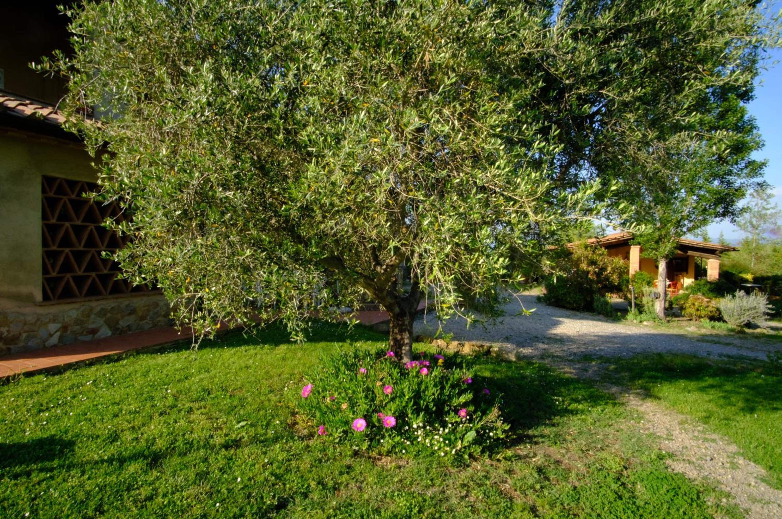Agriturismo LUCERTOLA
