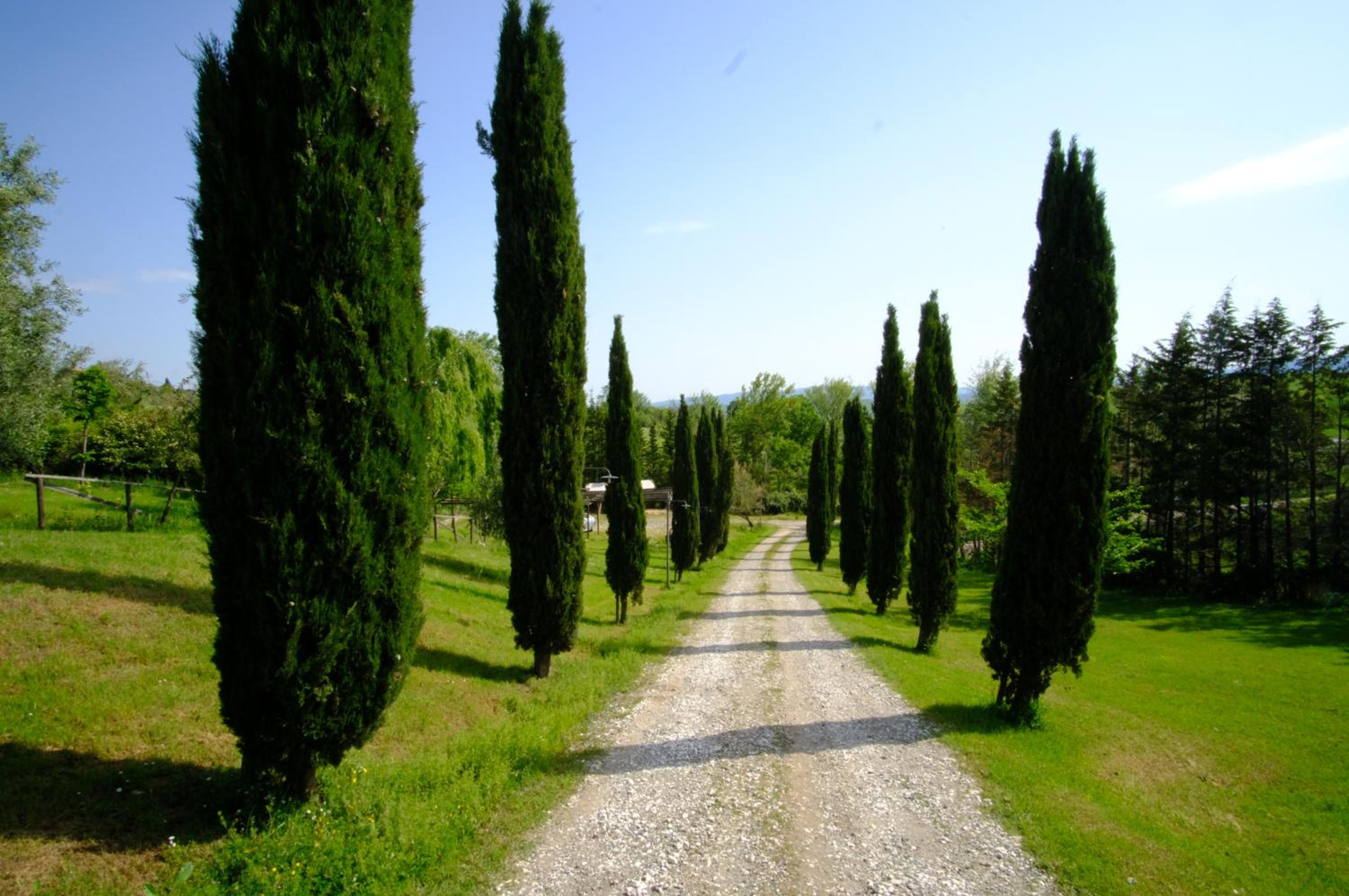 Agriturismo LUCERTOLA