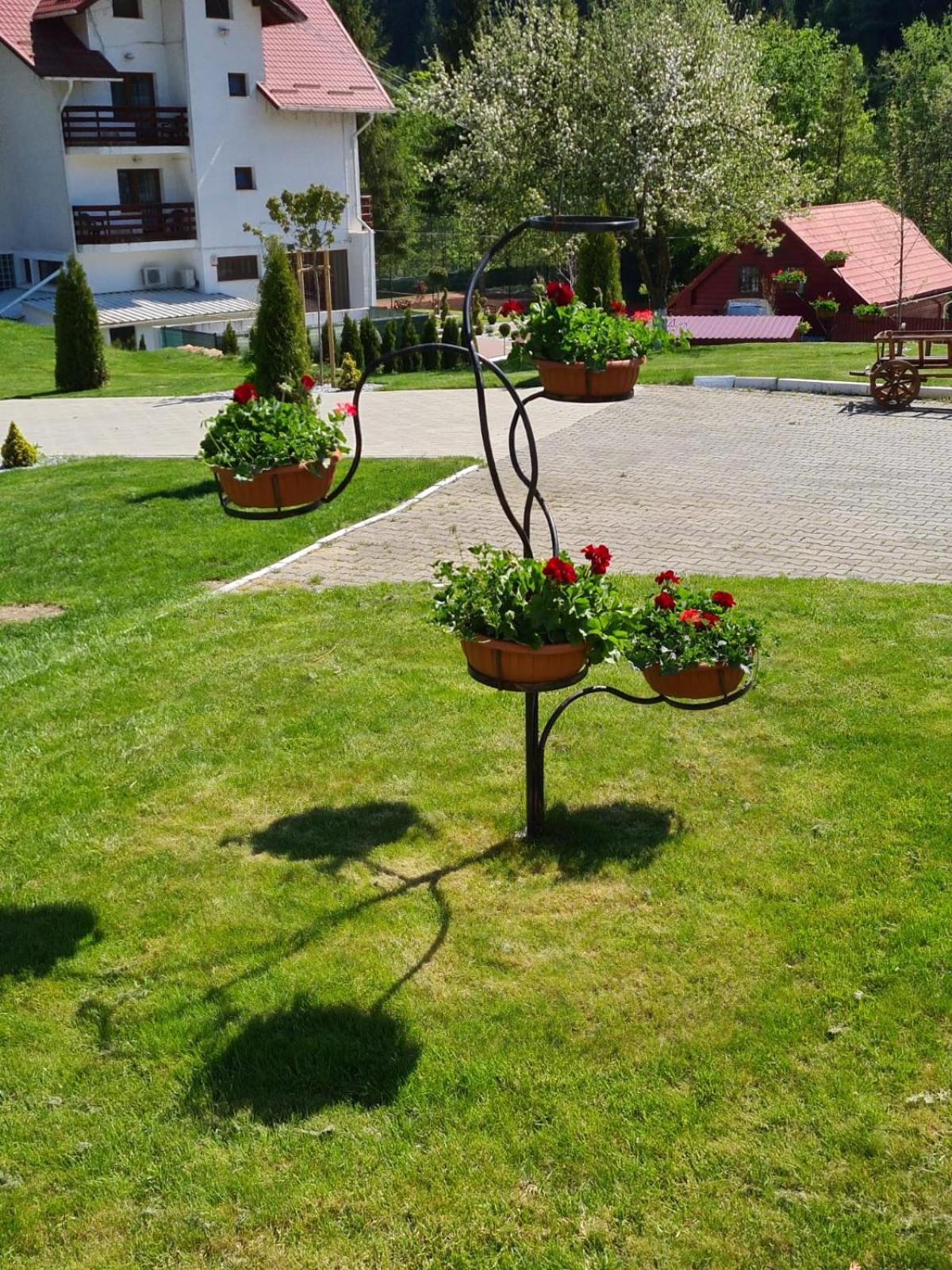Pensiunea Andias view 3