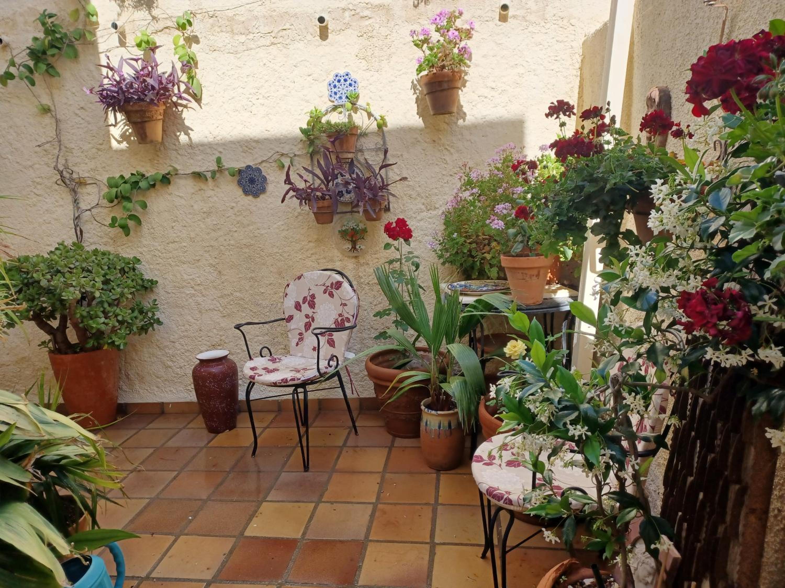 Apartamento rural Casa Medico view 3