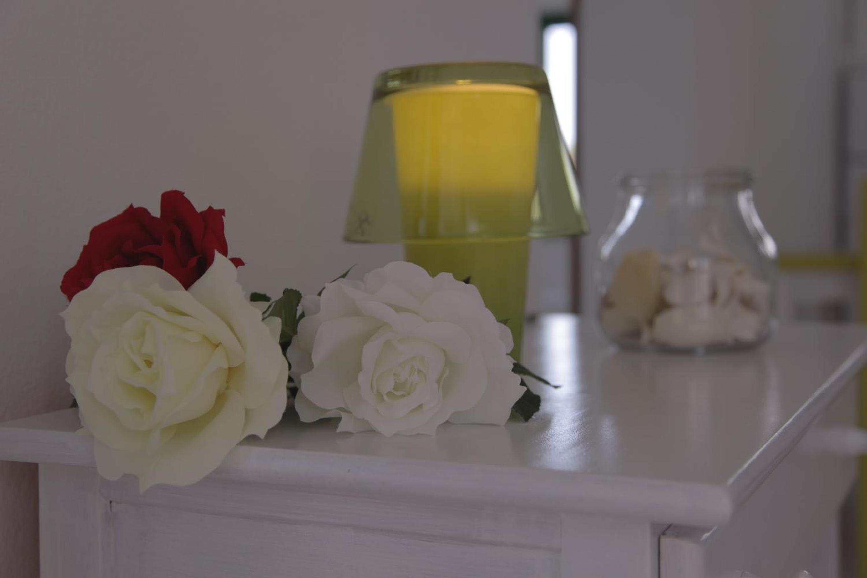 Apartamentos Flamboyant Adults Only
