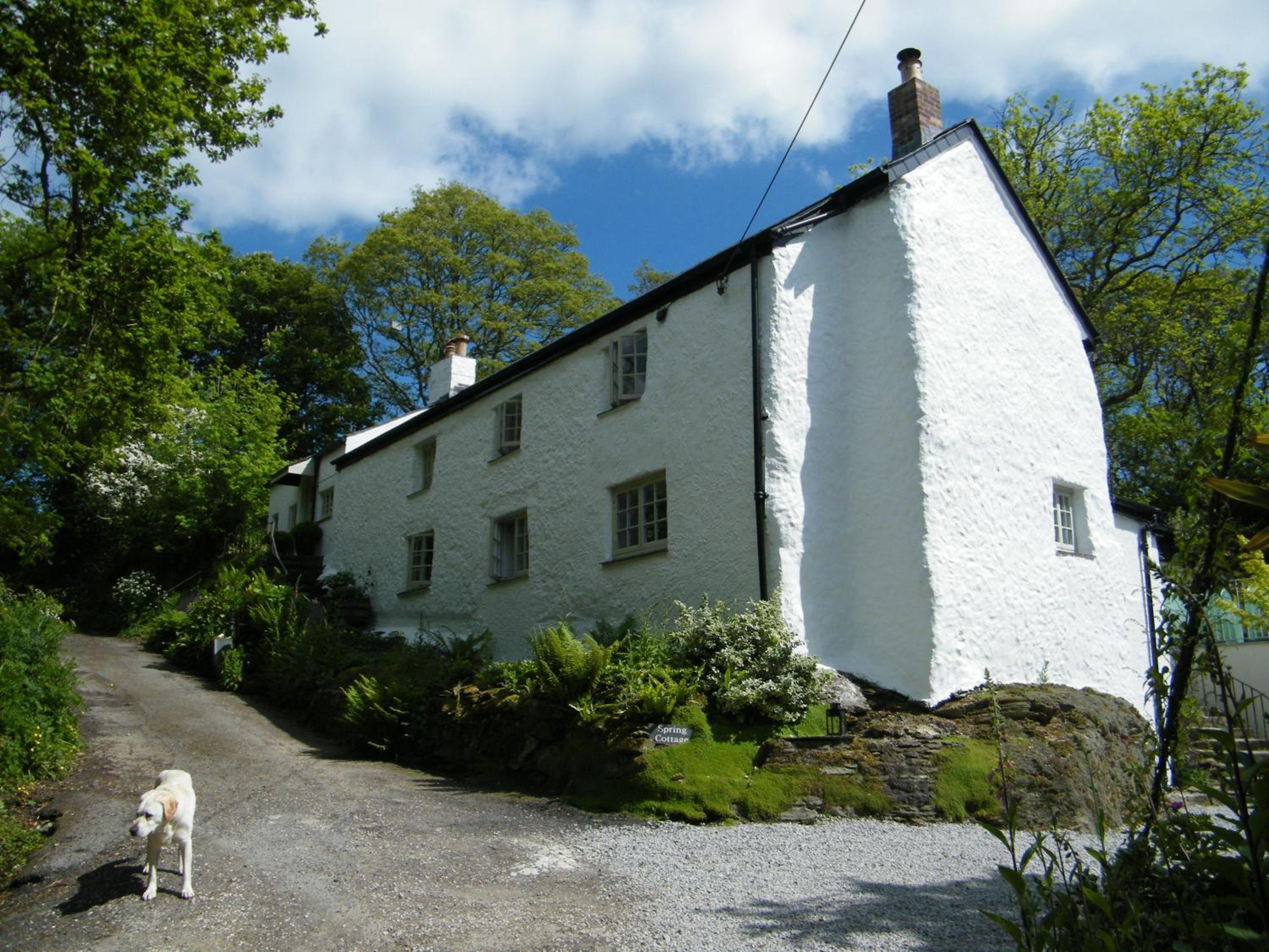 Spring Cottage B&B view 2