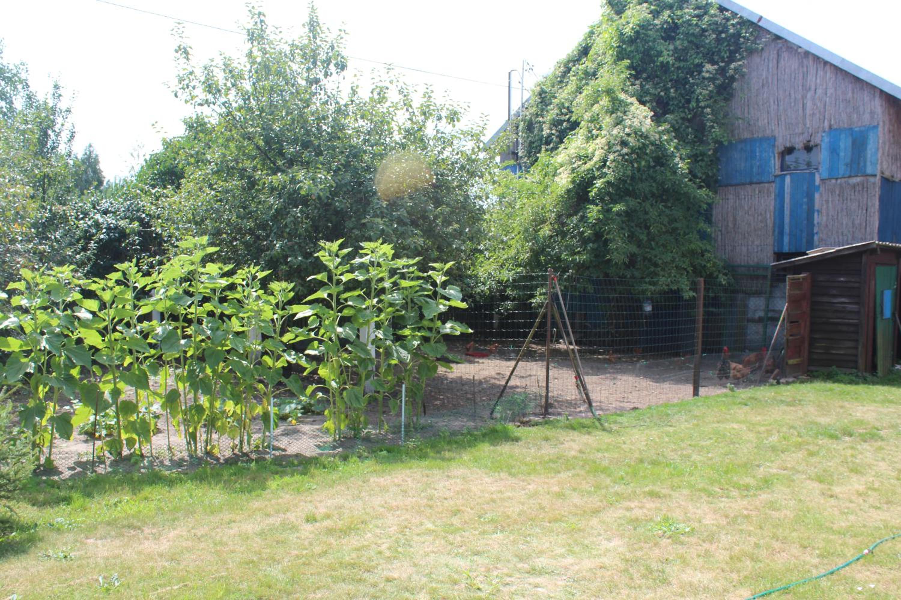 Photo 27