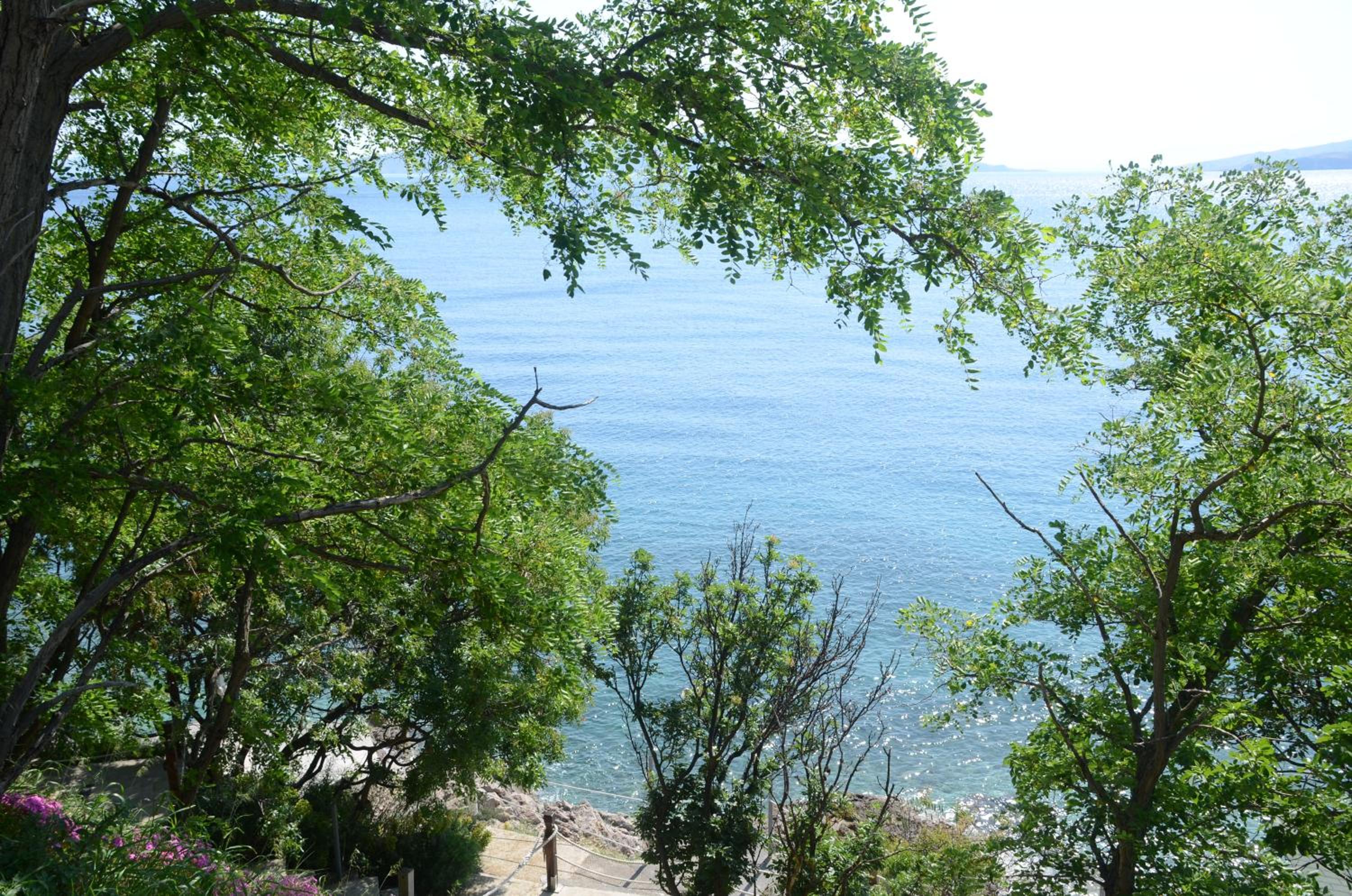 Corina & Franco view 4