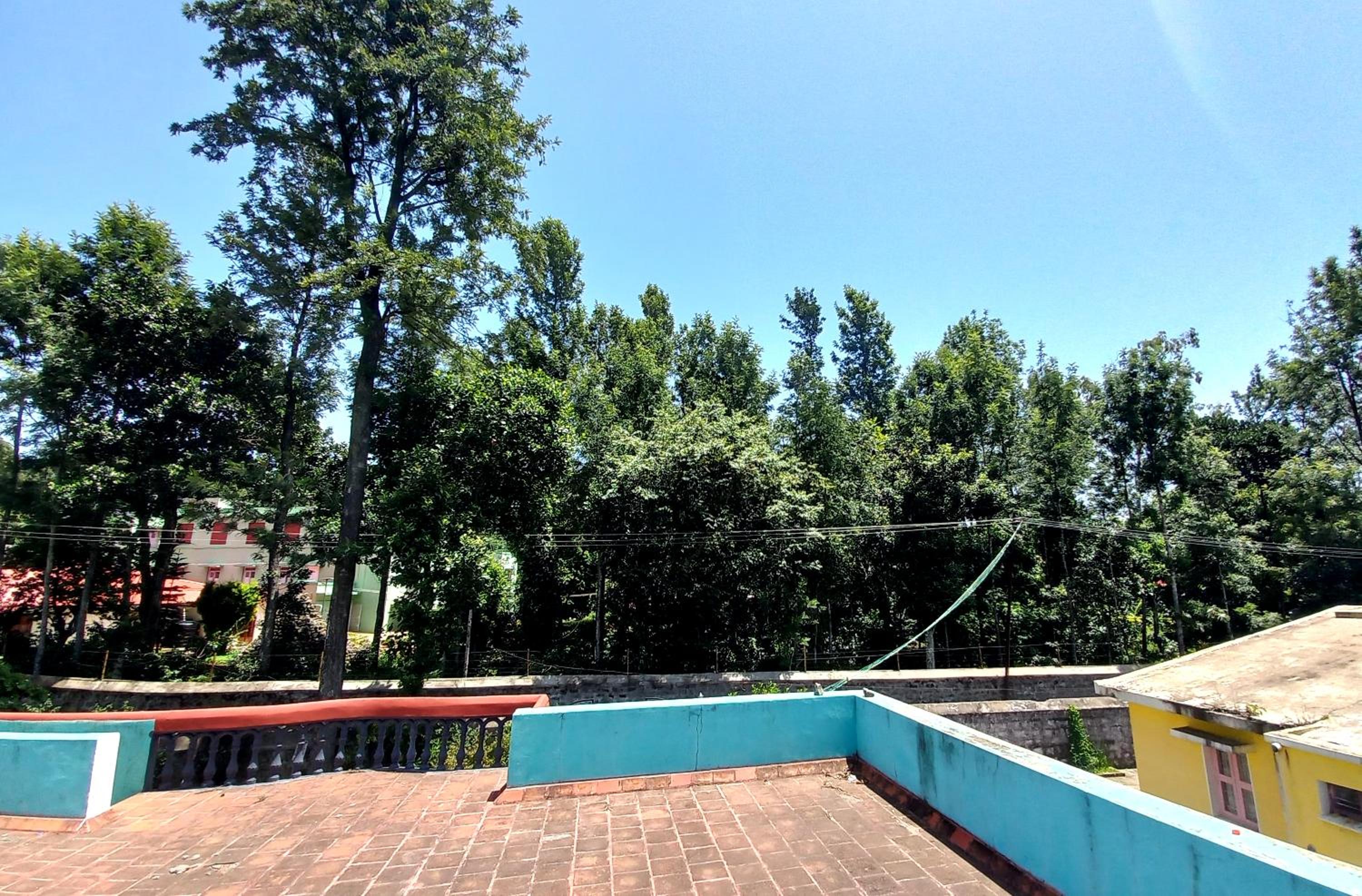 Photo 13