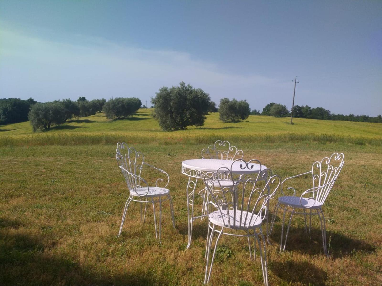 Podere San Giuseppe view 4