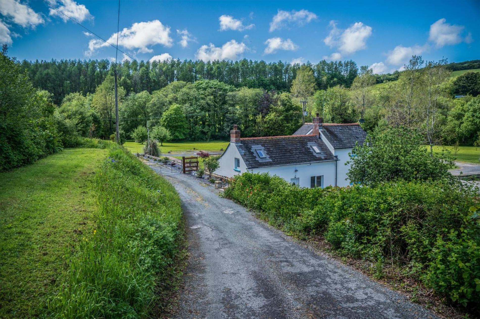 Tucking Mill - 3 Bedroom Holiday Home - Stepaside view 4