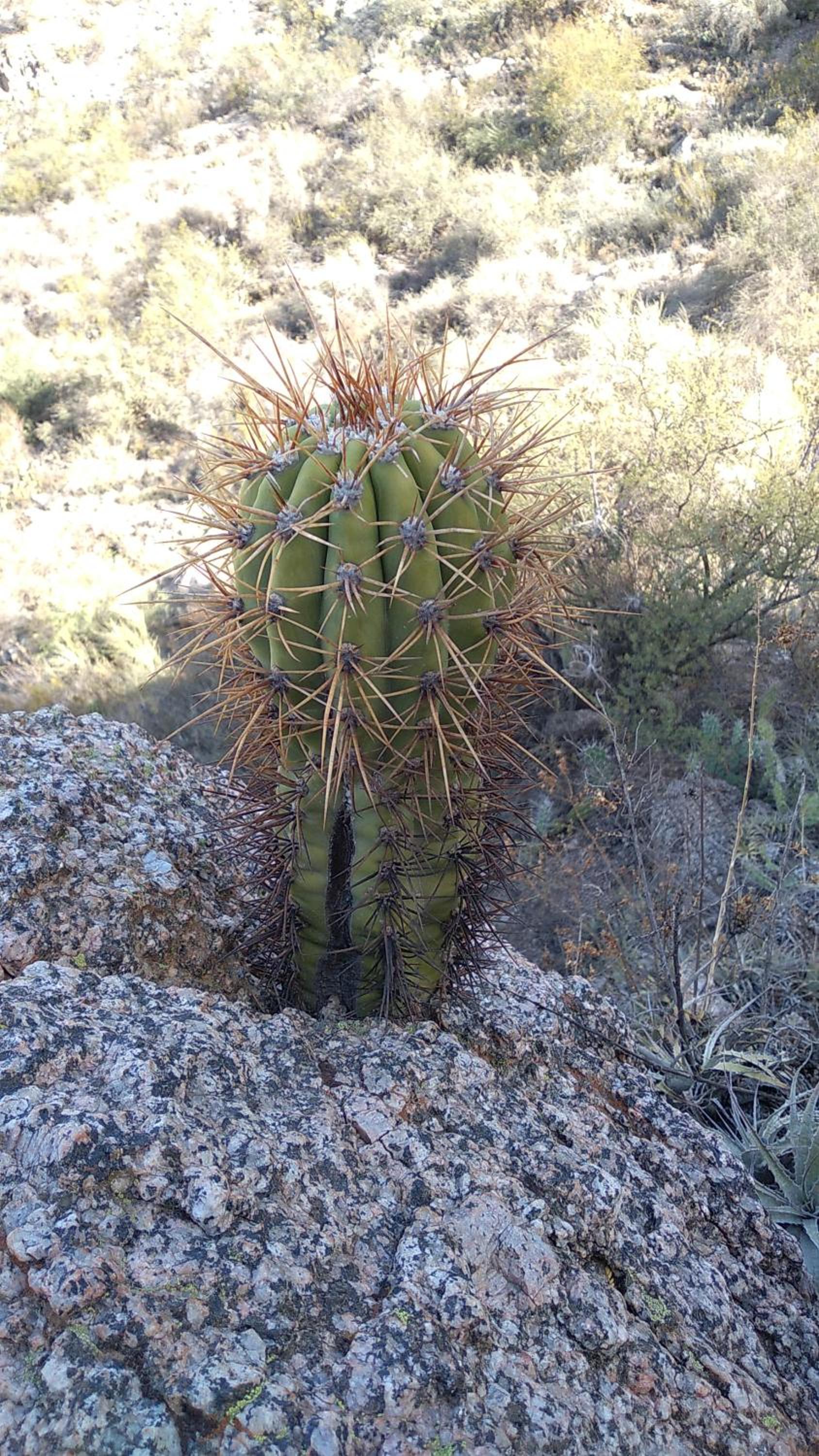 Cuesta de san miguel
