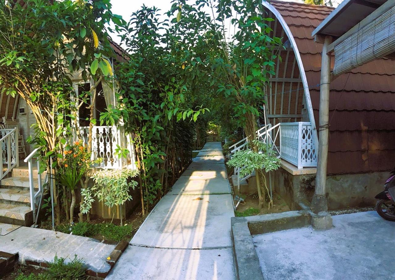 The Vagary Vibes view 4