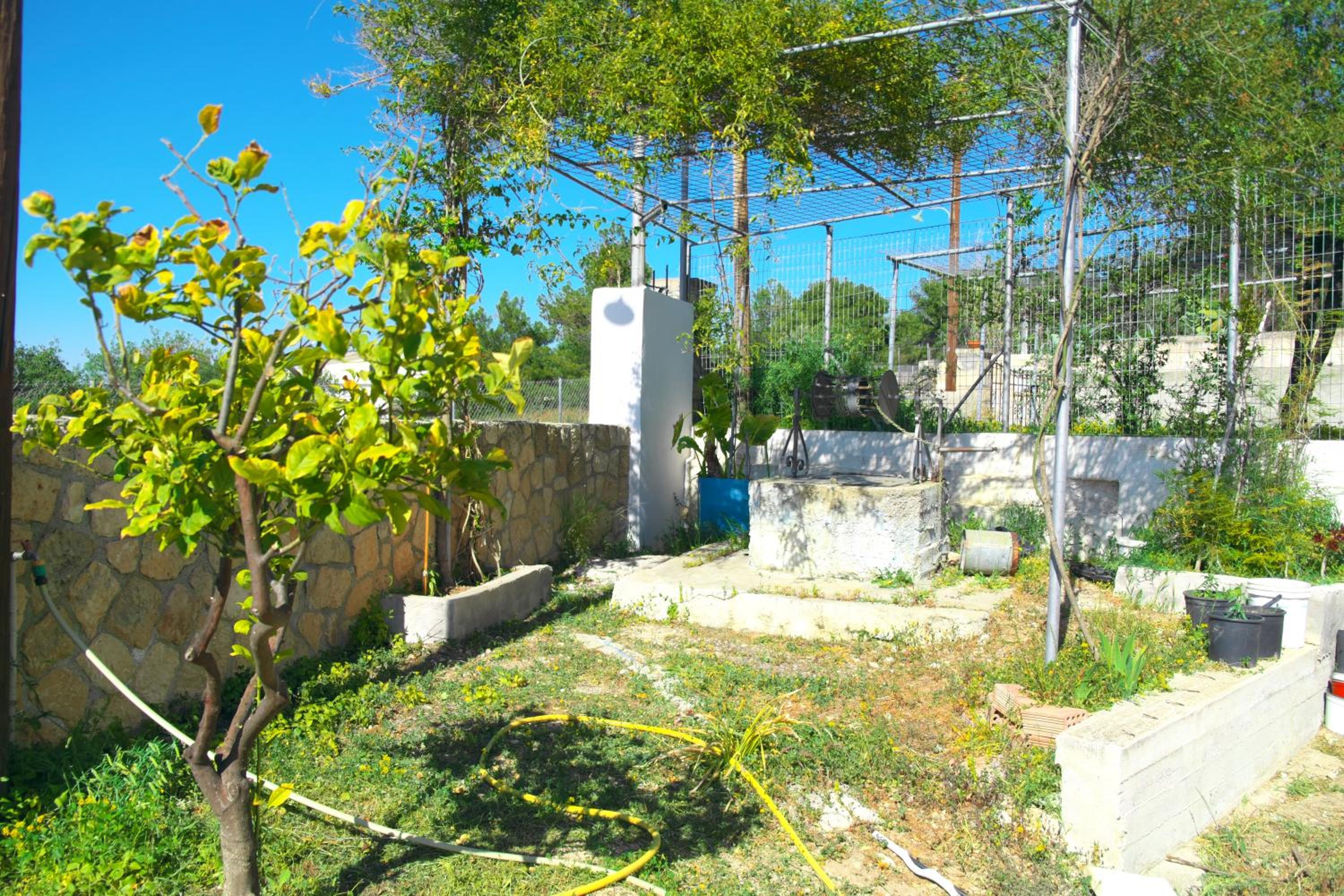 Photo 21