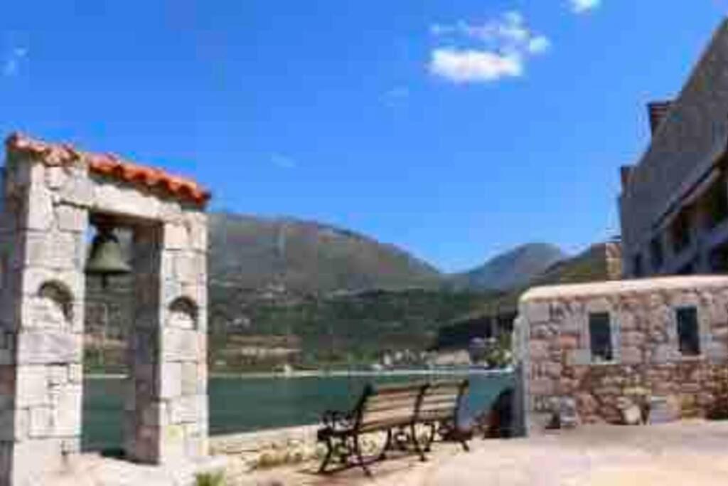 Photo 41
