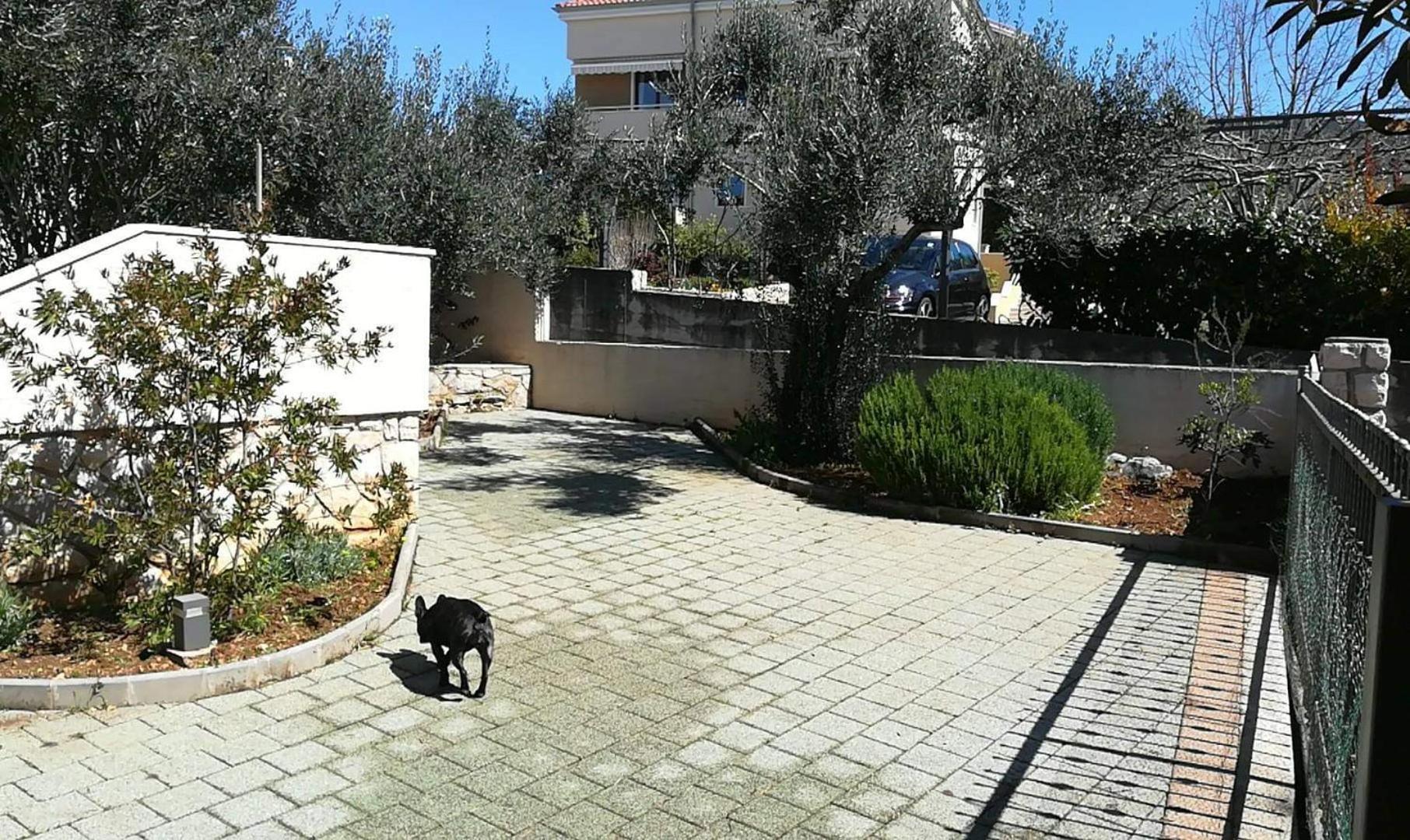 APARTMAN VERA view 4