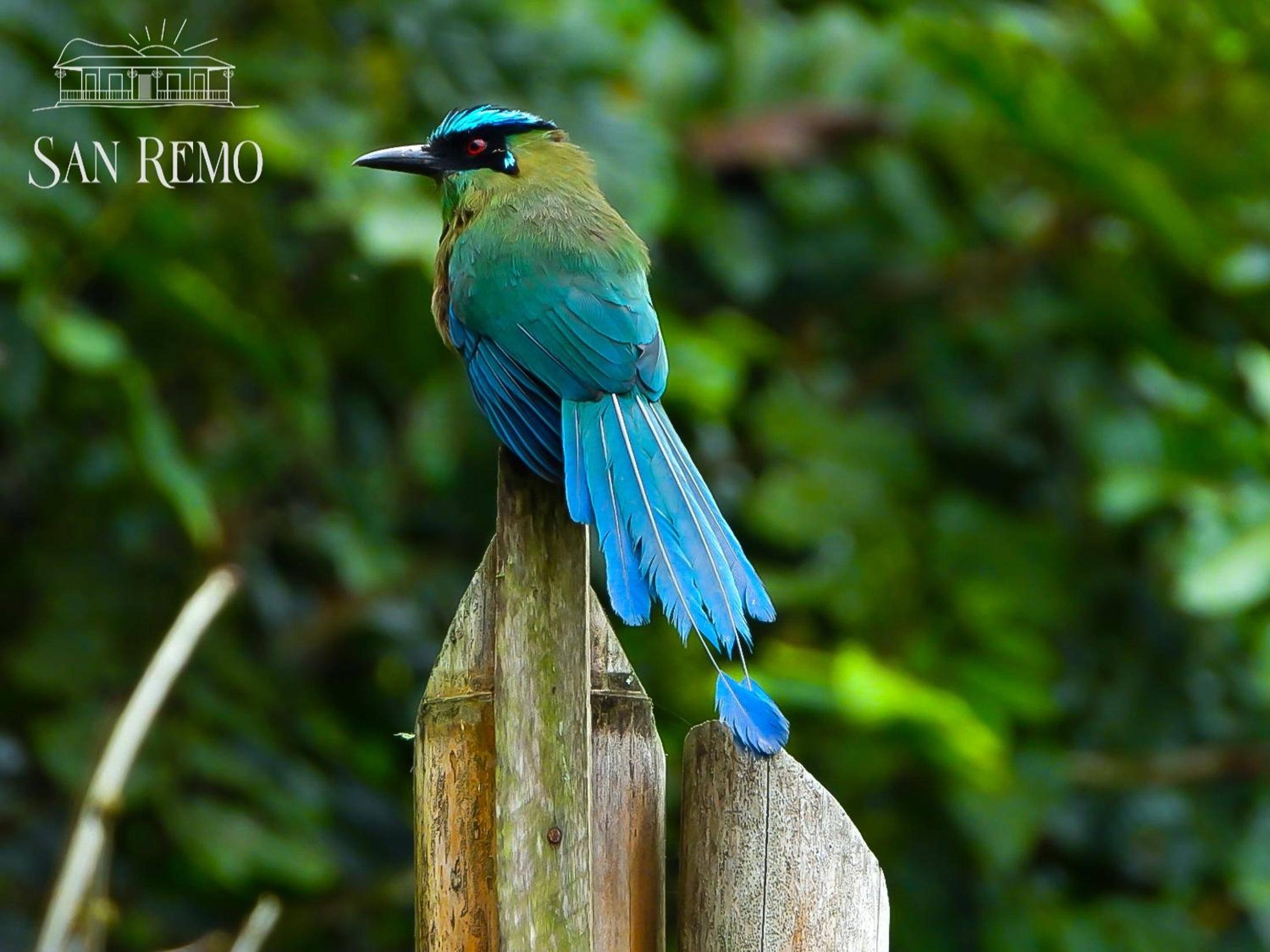 Hotel Rural SAN REMO - Property Image 12