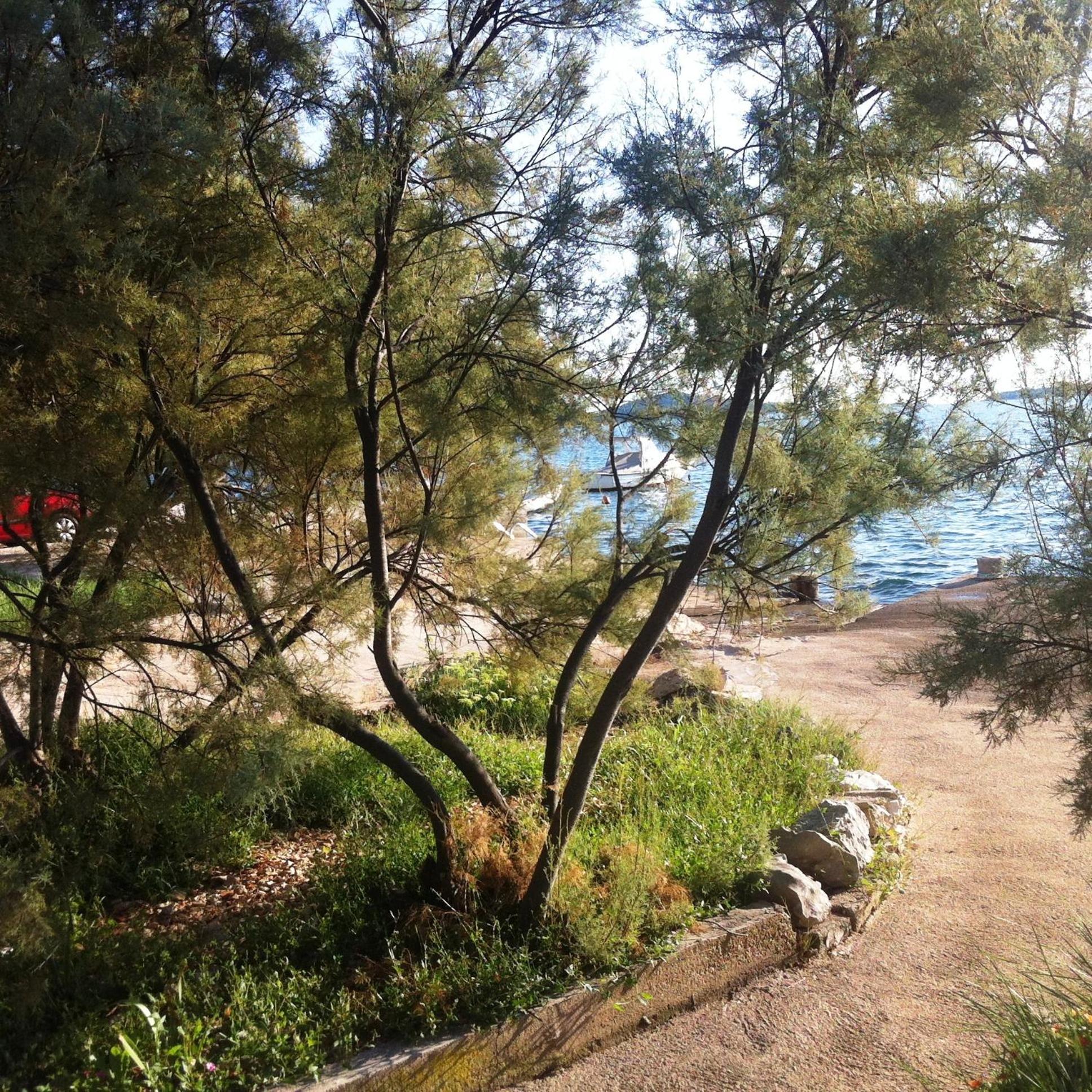 Photo 28