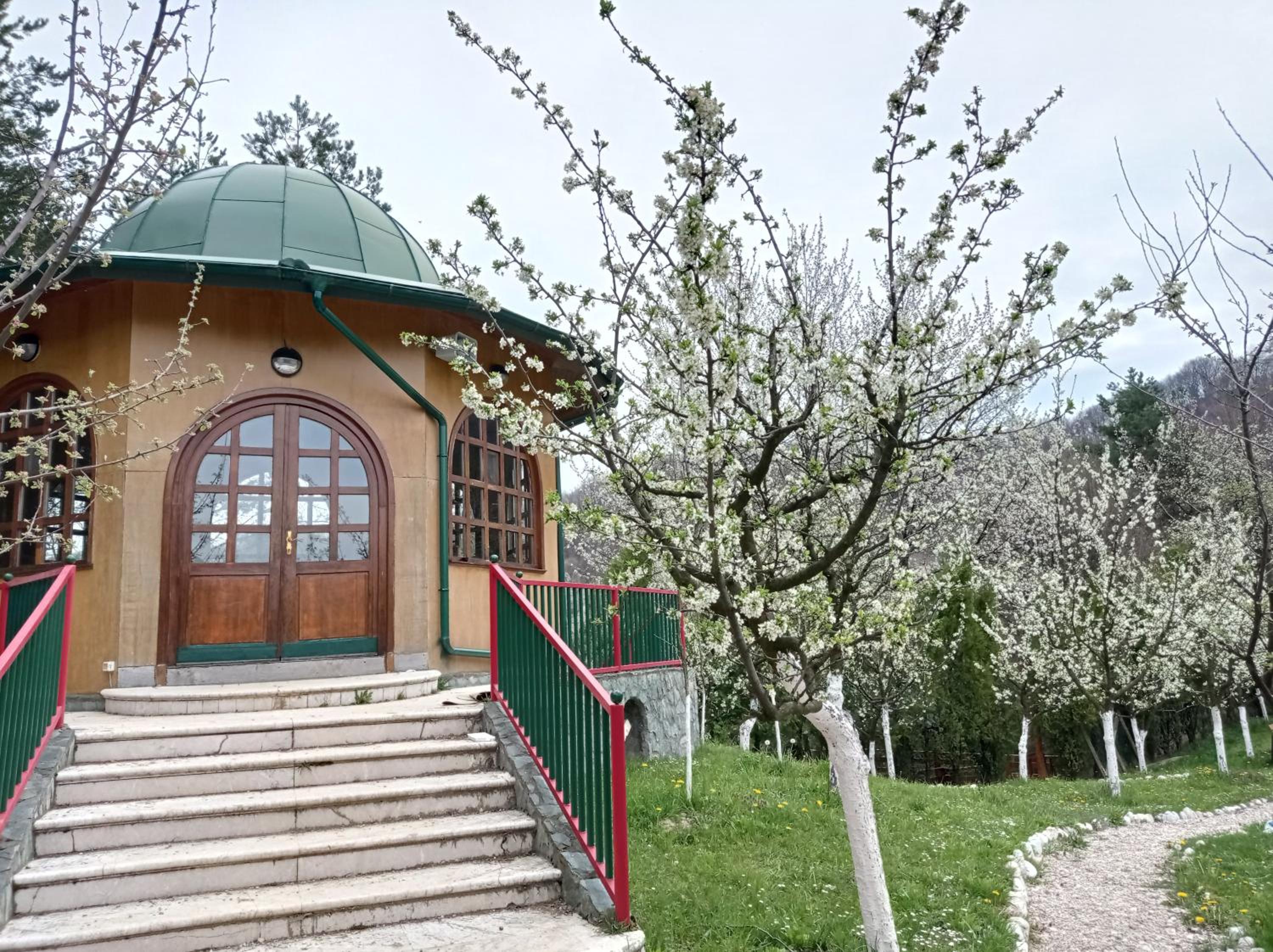 Malak Farma