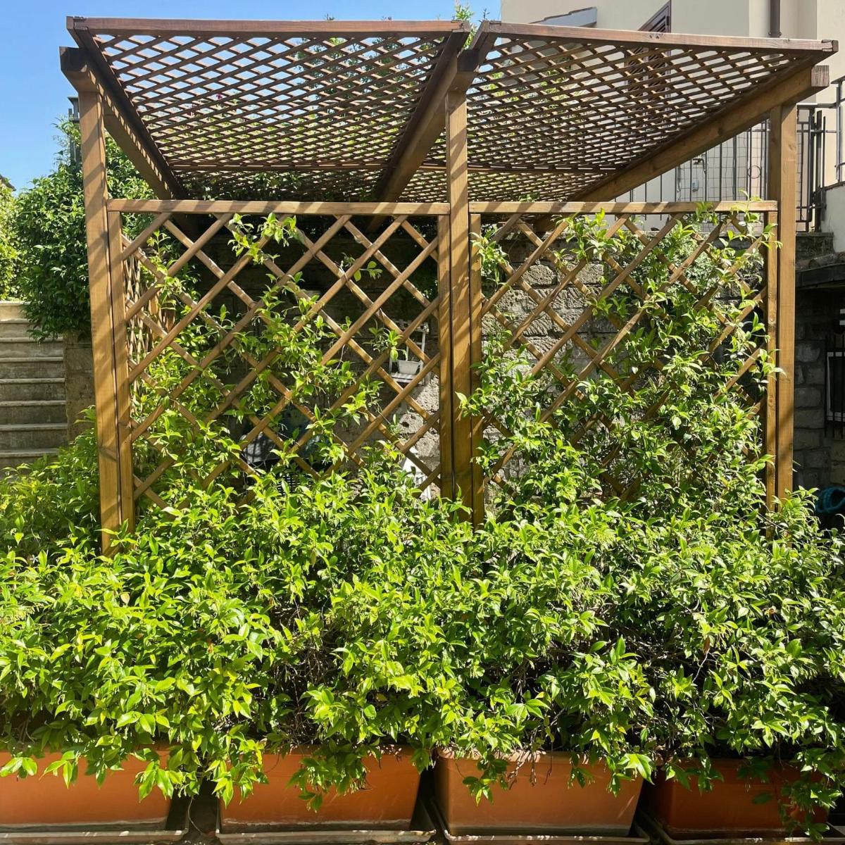 Photo 63