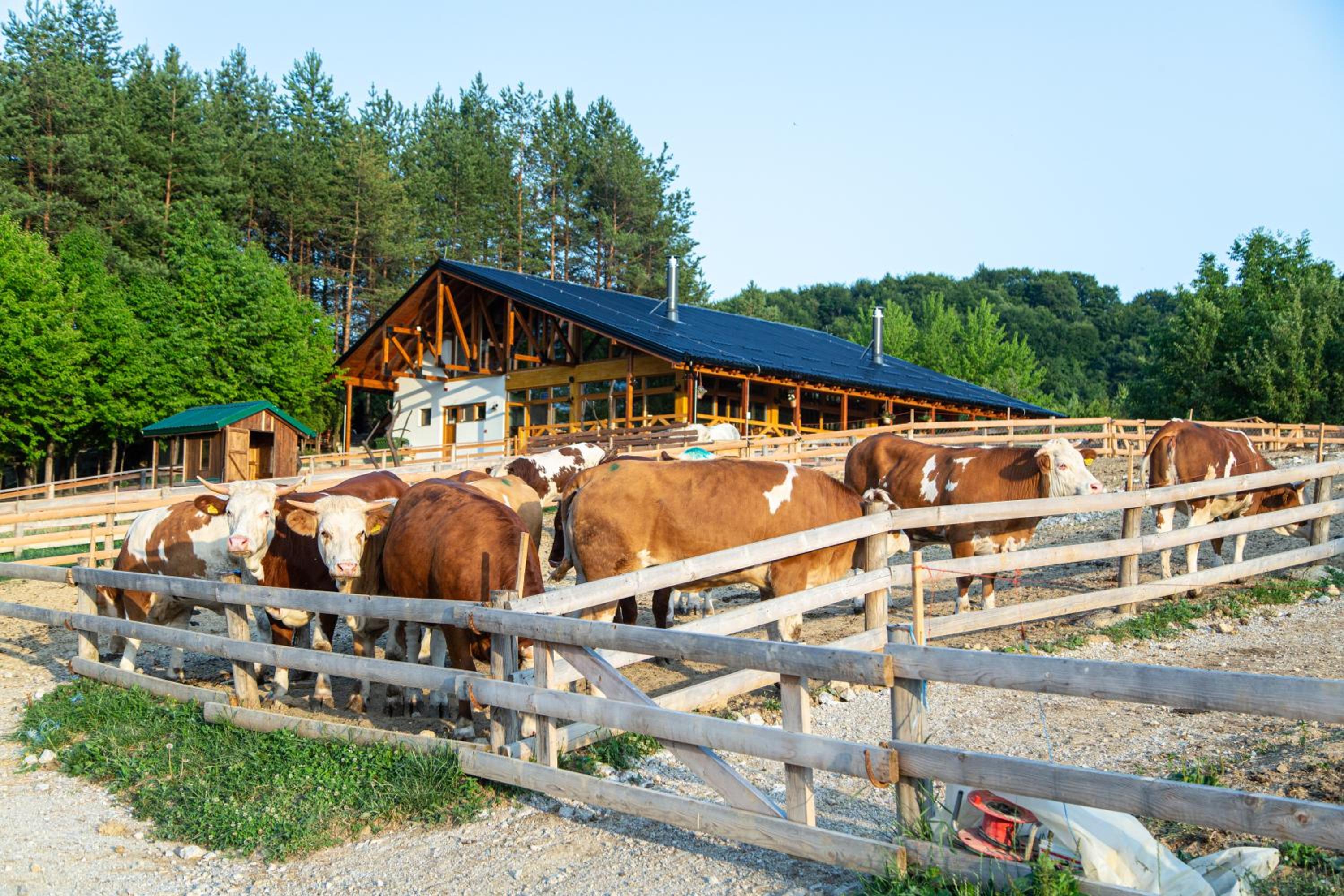Malak Farma