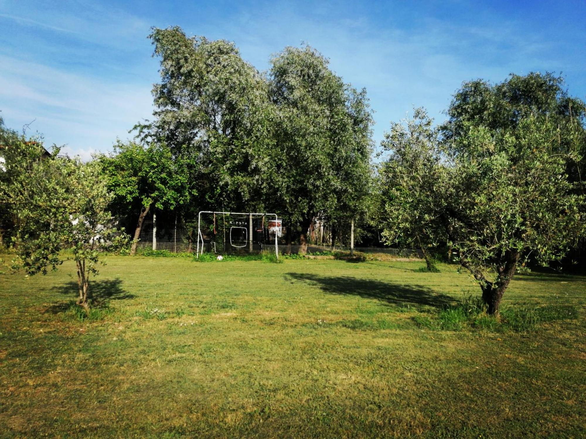 Photo 46