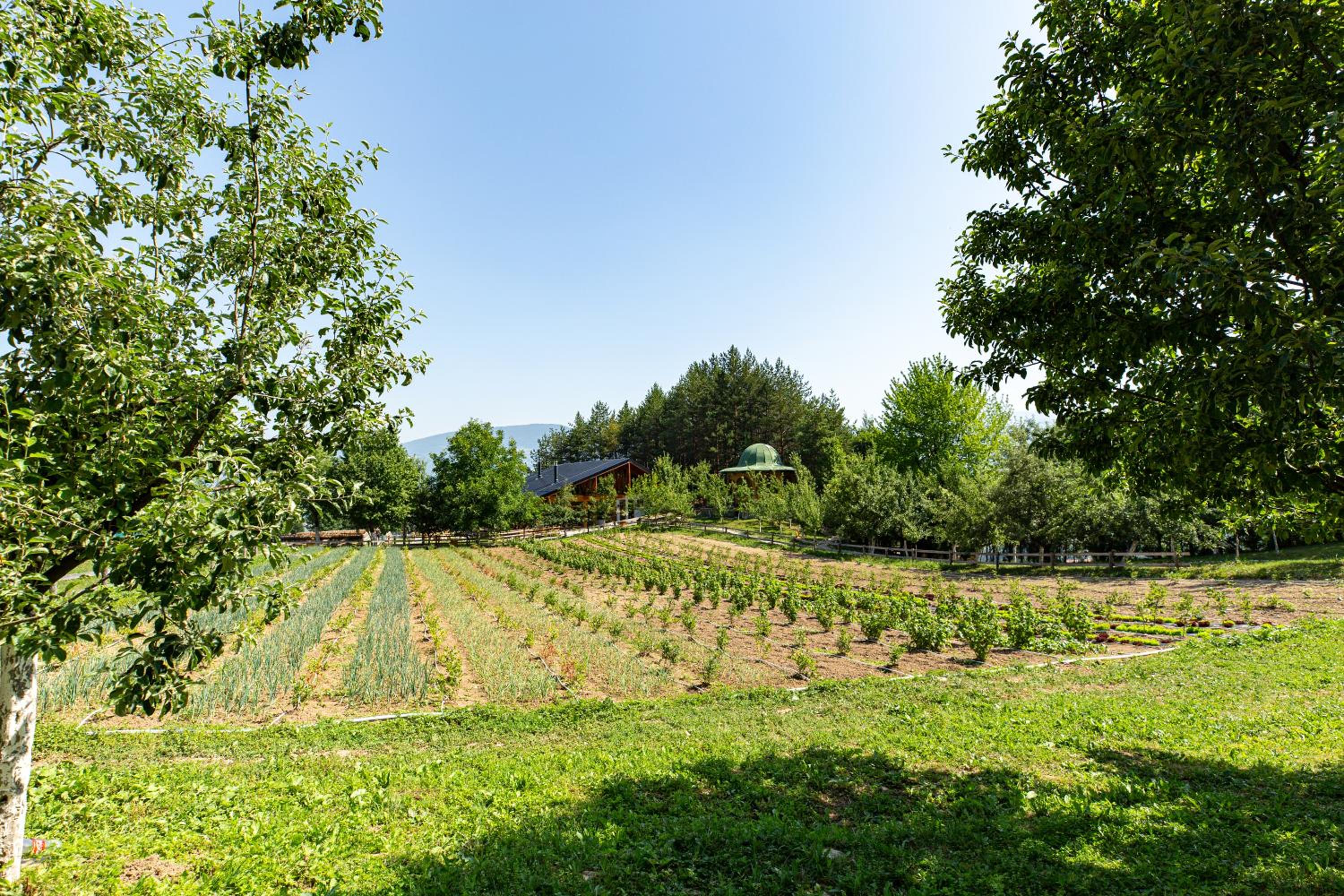 Malak Farma