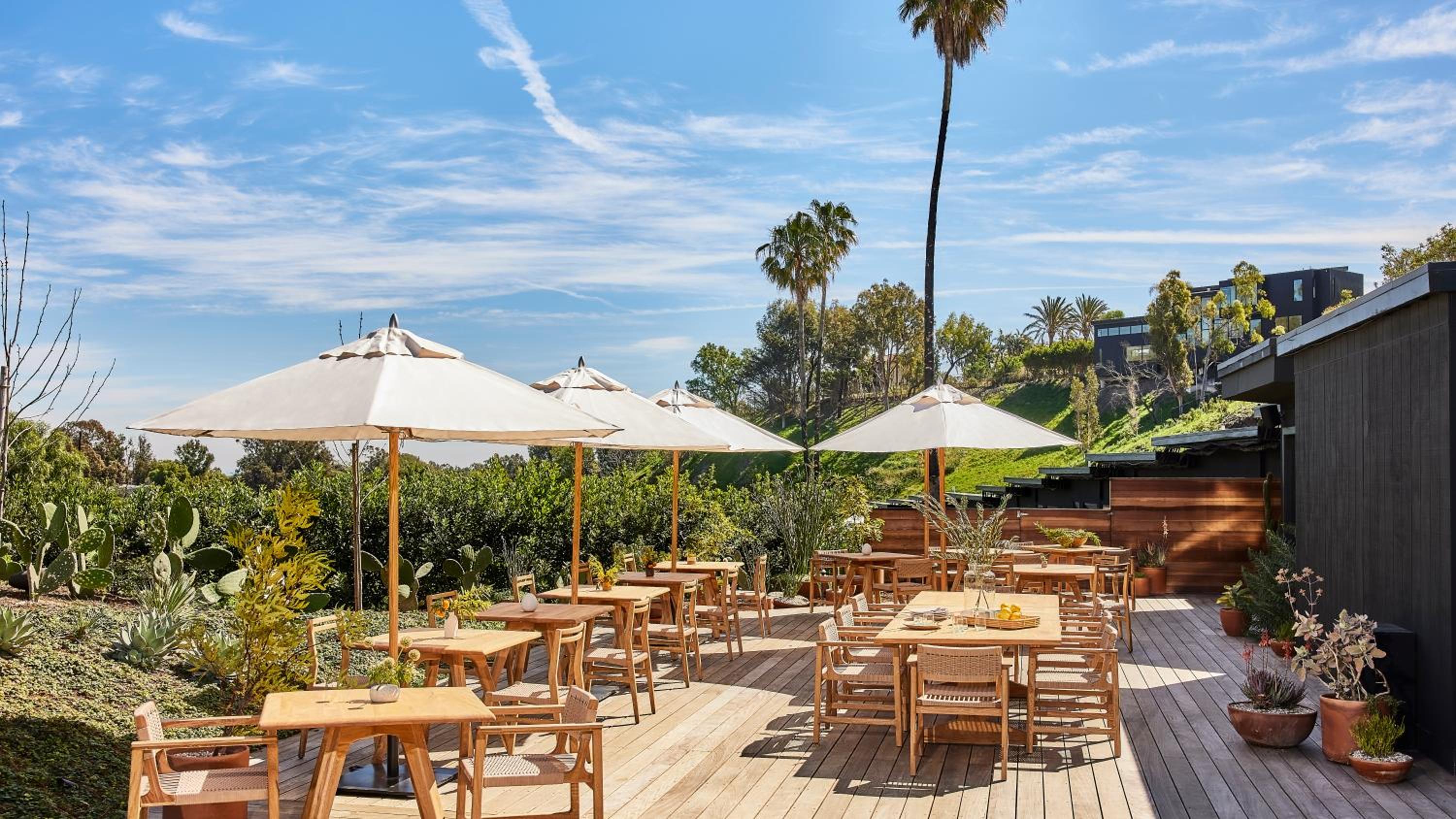 Hotel June Malibu - Property Image 29
