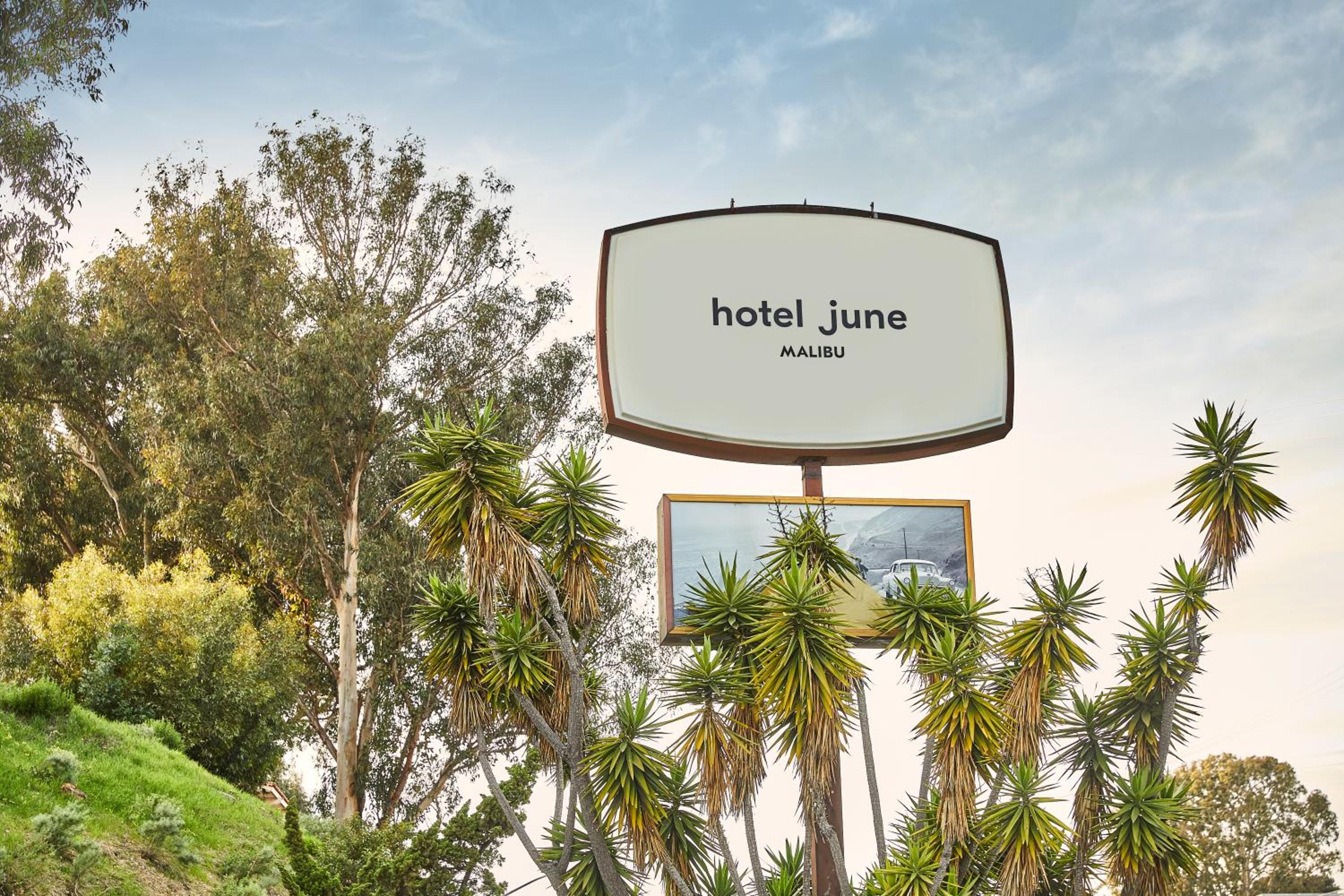 Hotel June Malibu - Property Image 31