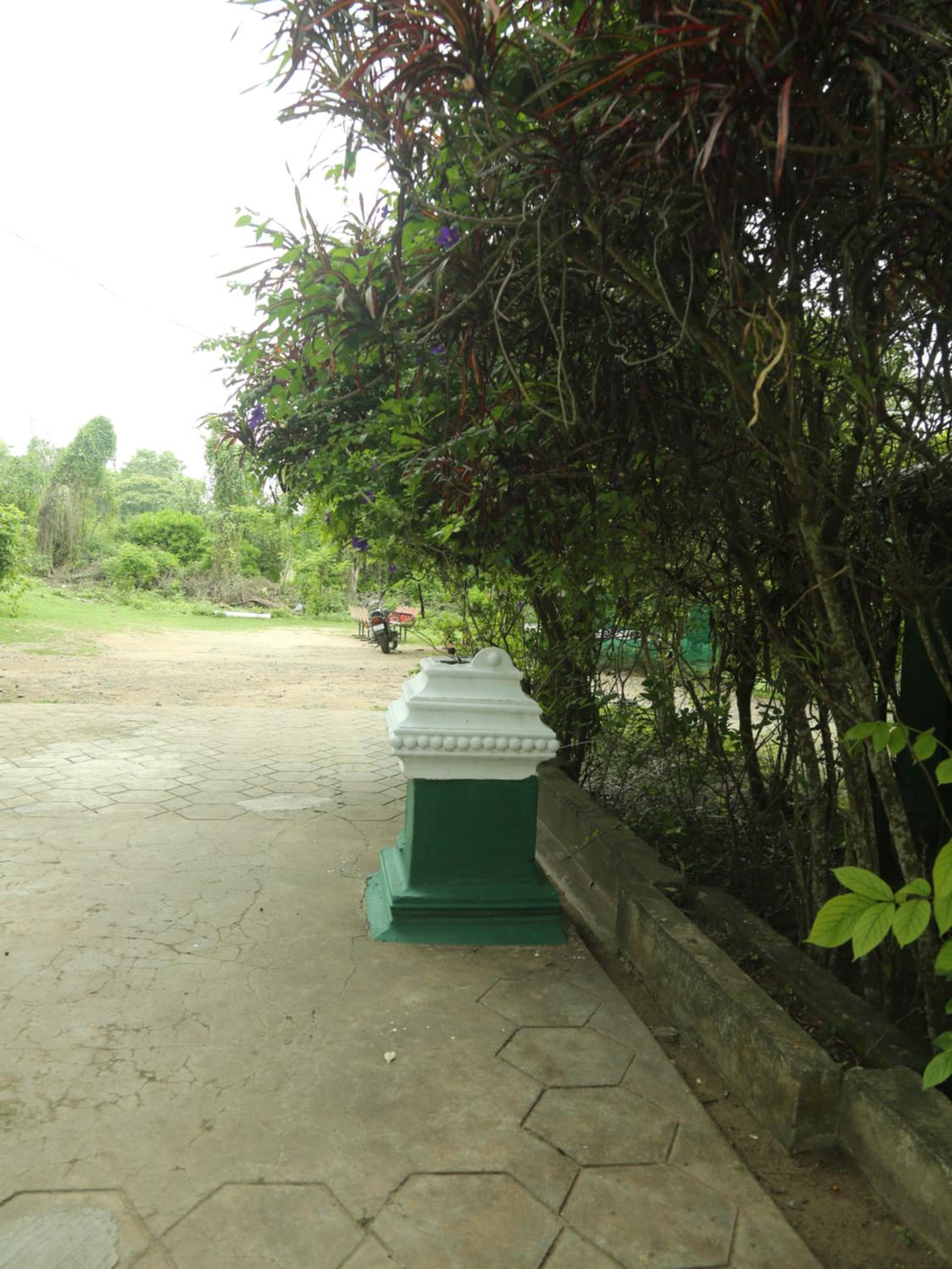 Photo 7
