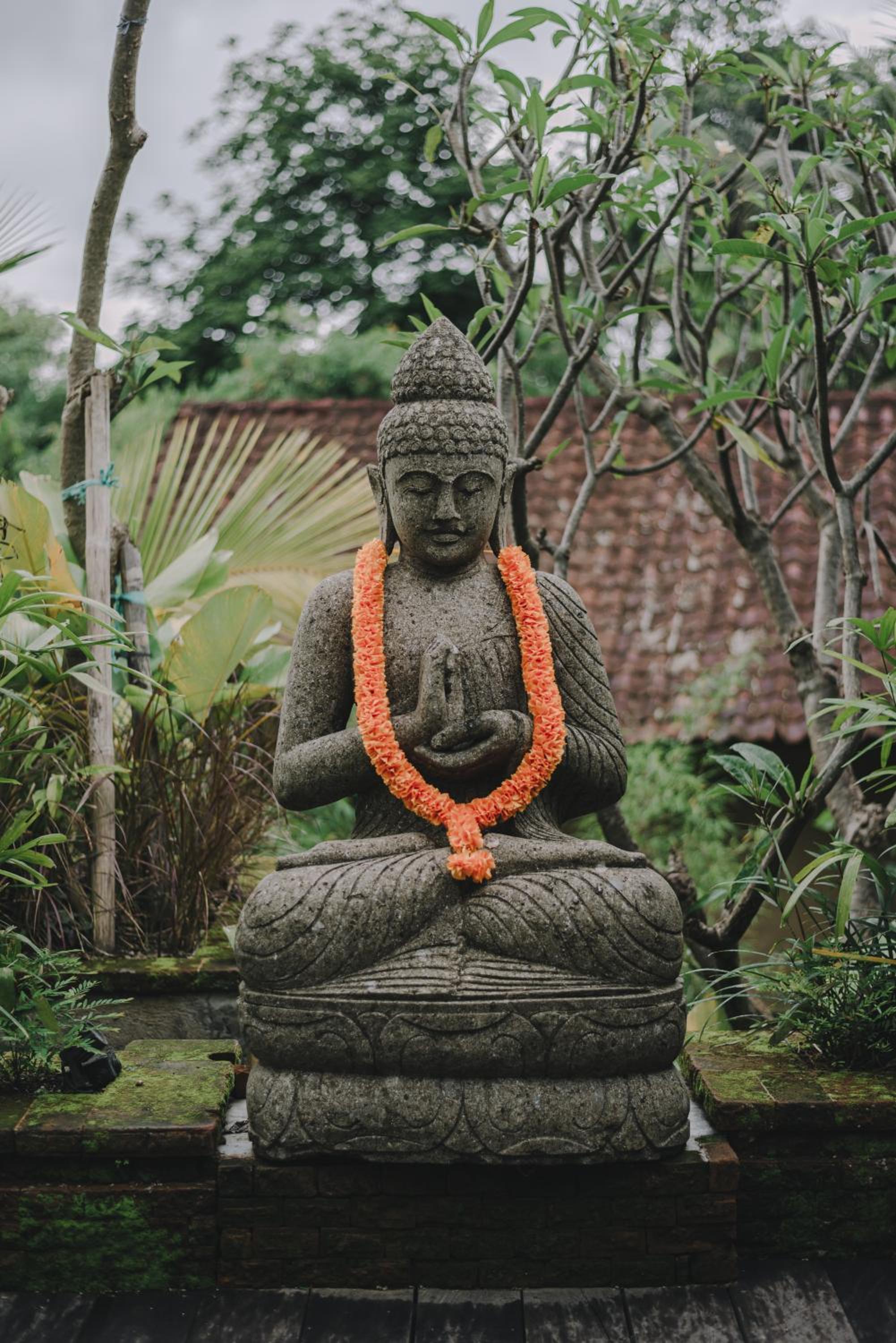 Villa Asrava Ubud view 3