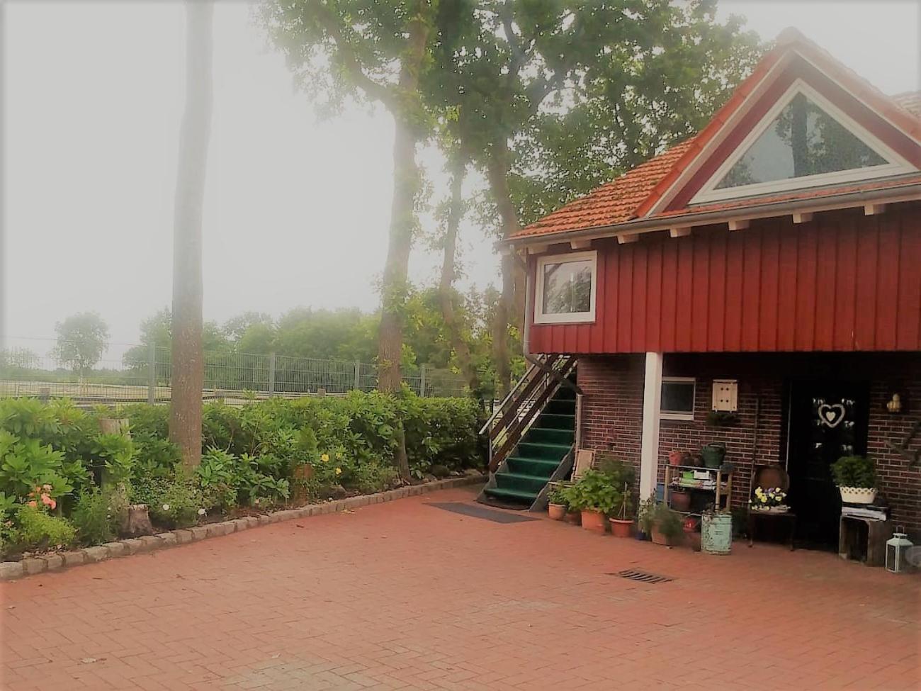 Ranchhouse Hunde und Pferde willkommen view 5