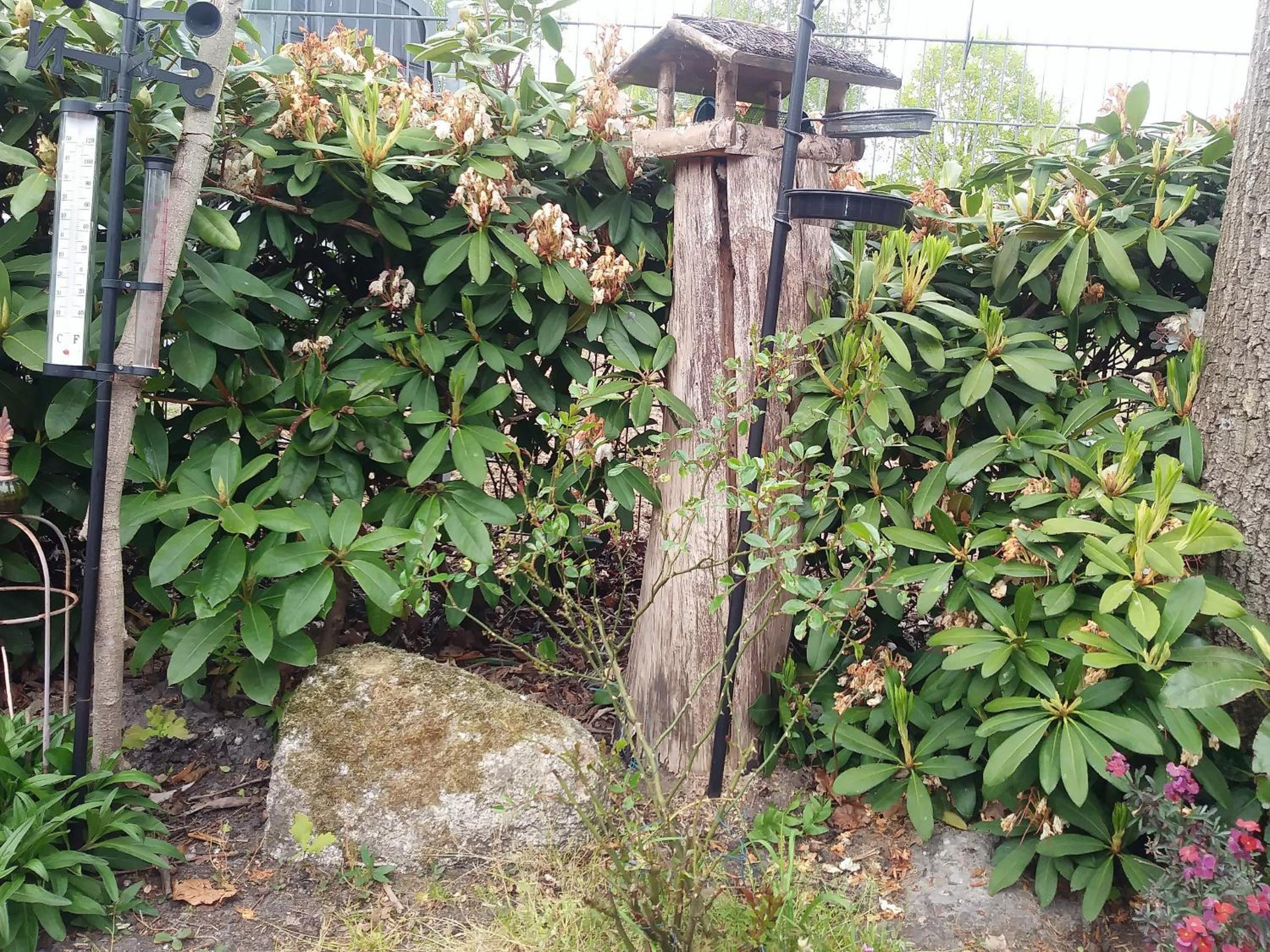 Photo 11