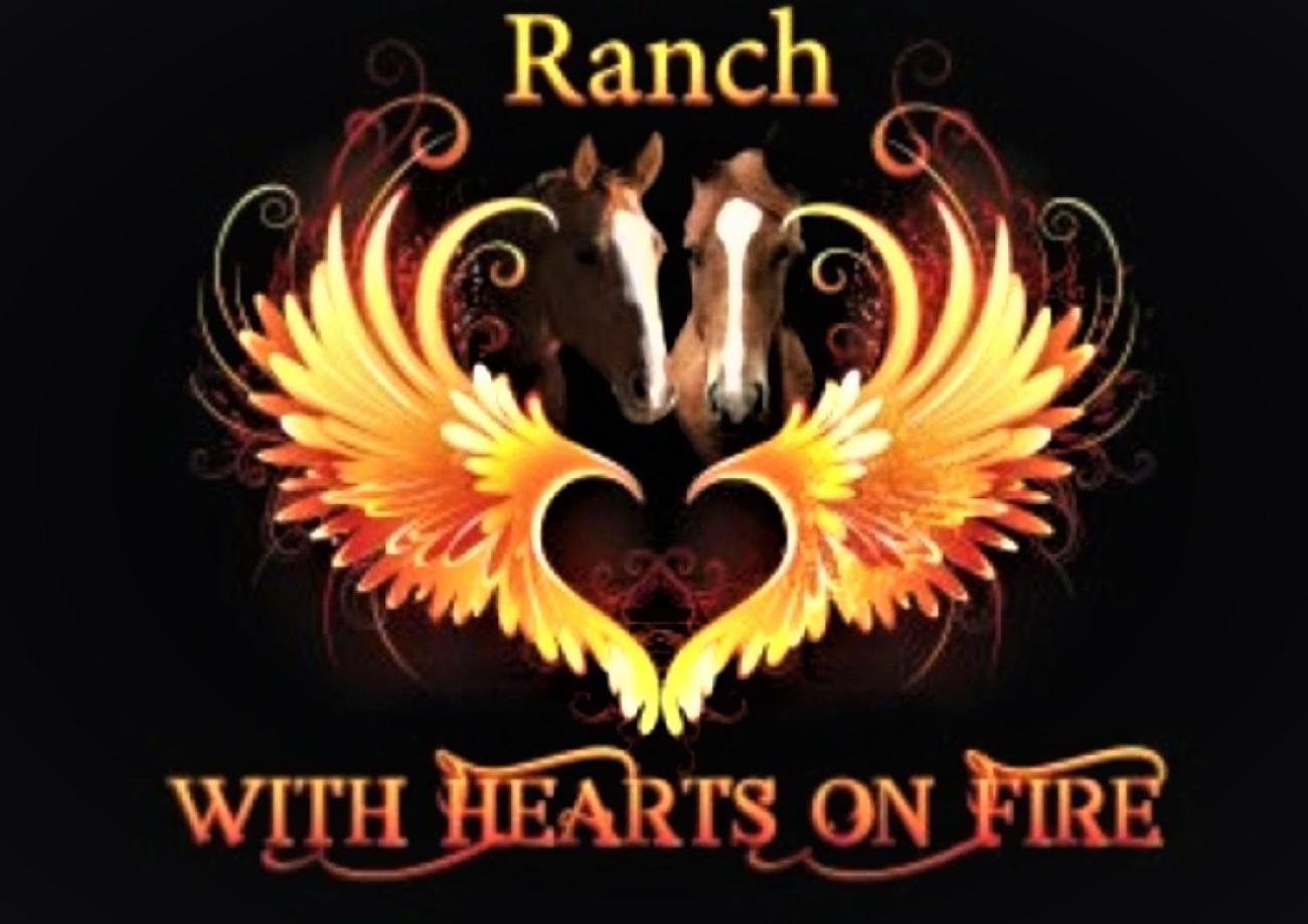 Ranchhouse Hunde und Pferde willkommen view 3
