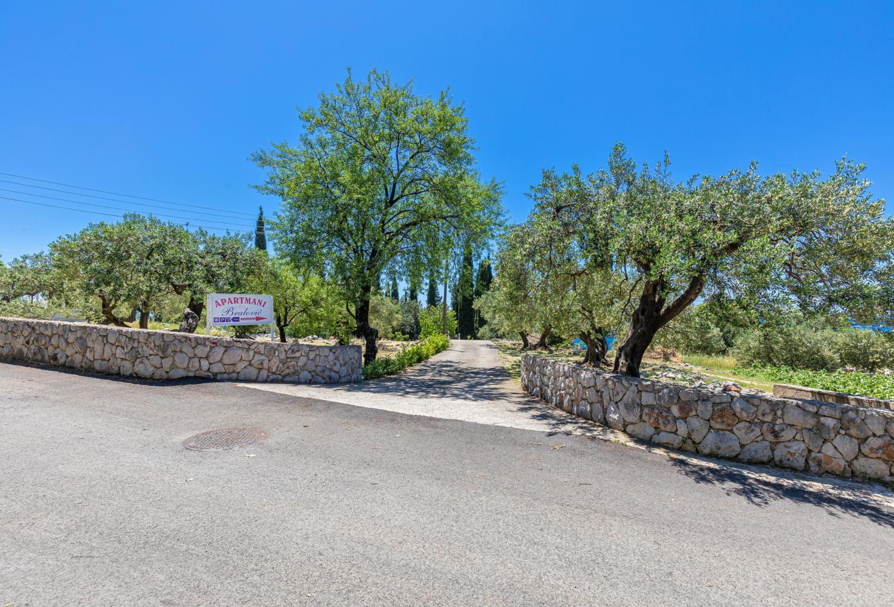 Photo 50