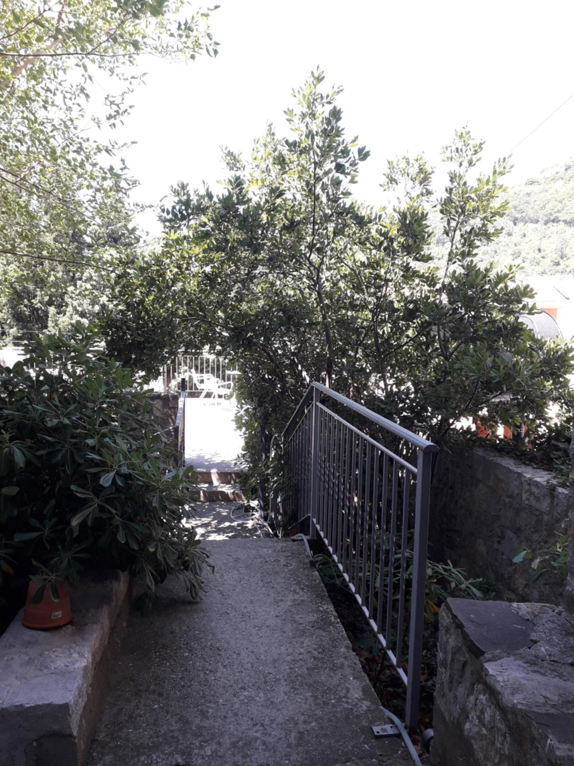 Apartments Markovic Sutomore