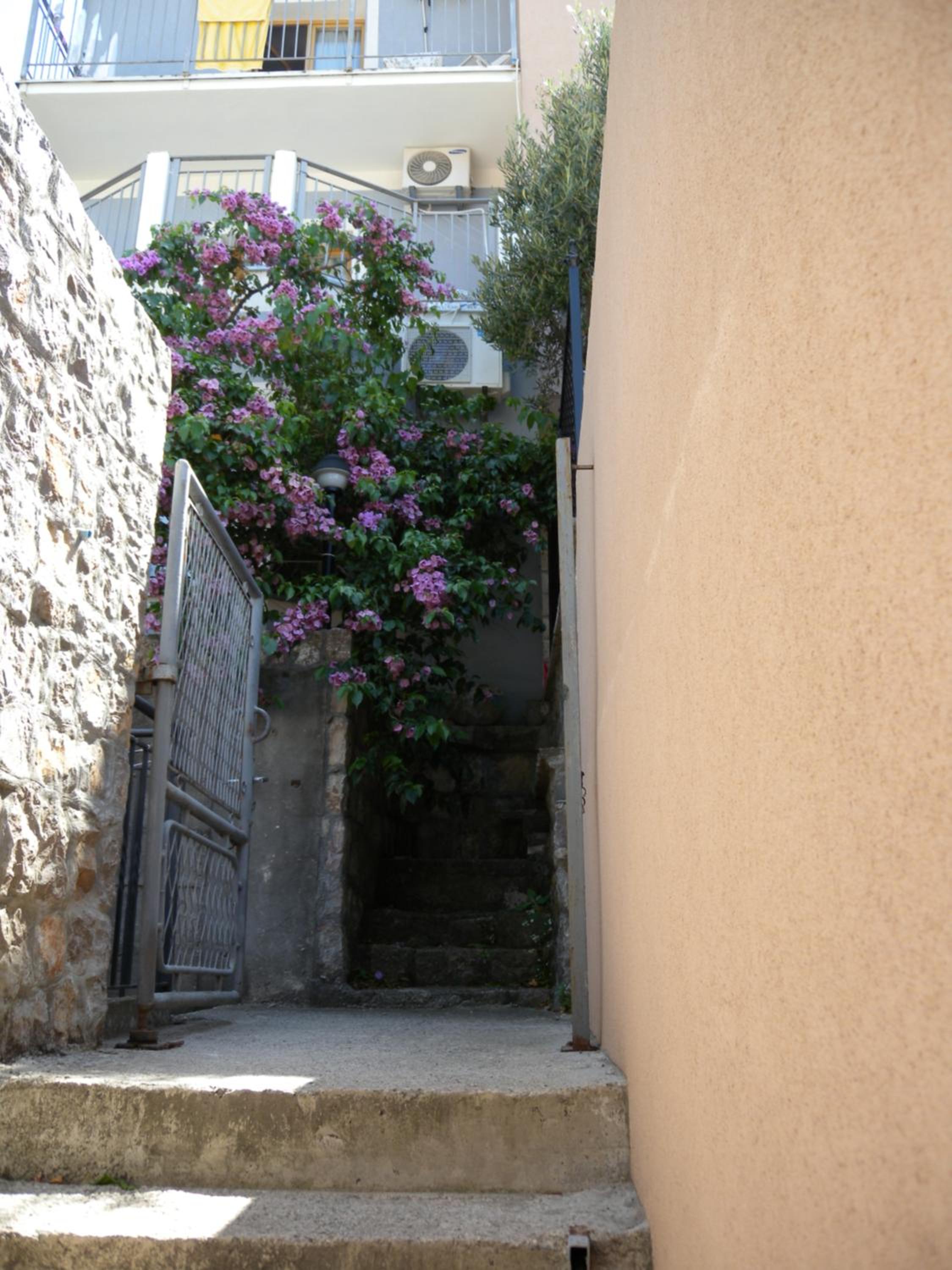 Apartments Markovic Sutomore